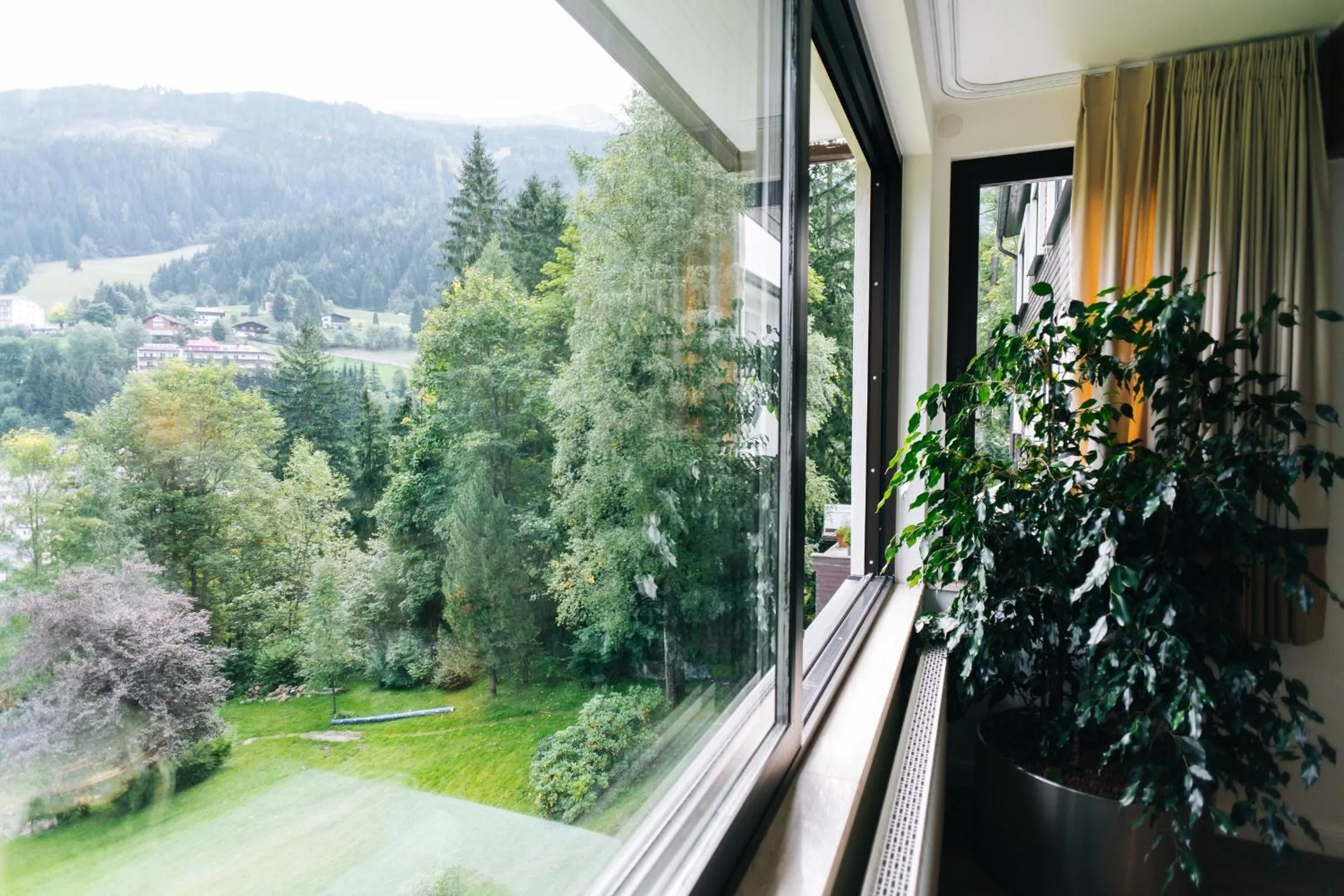 Natural landscape in Residenz Kaiser Franz Josef