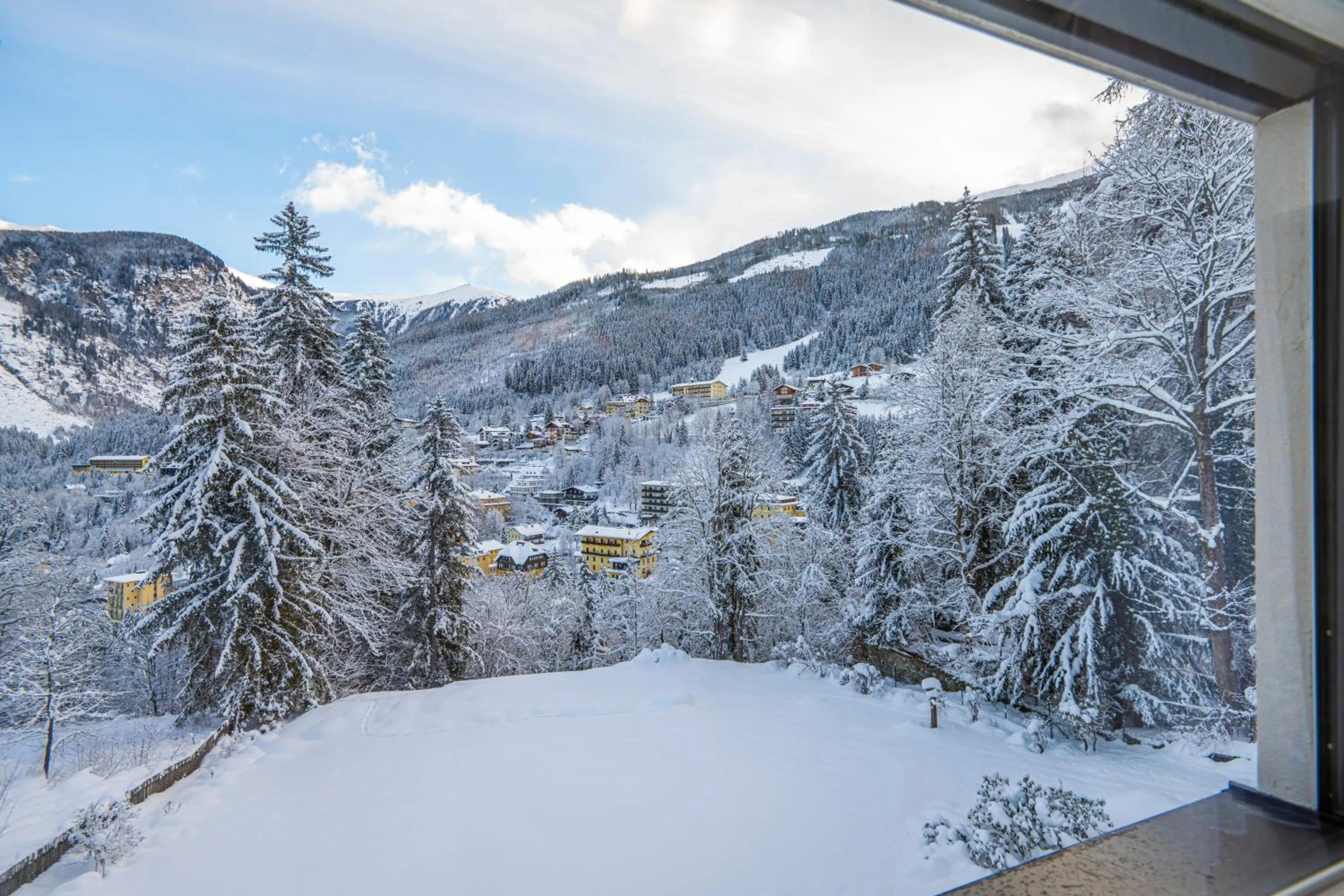 Natural landscape in Residenz Kaiser Franz Josef