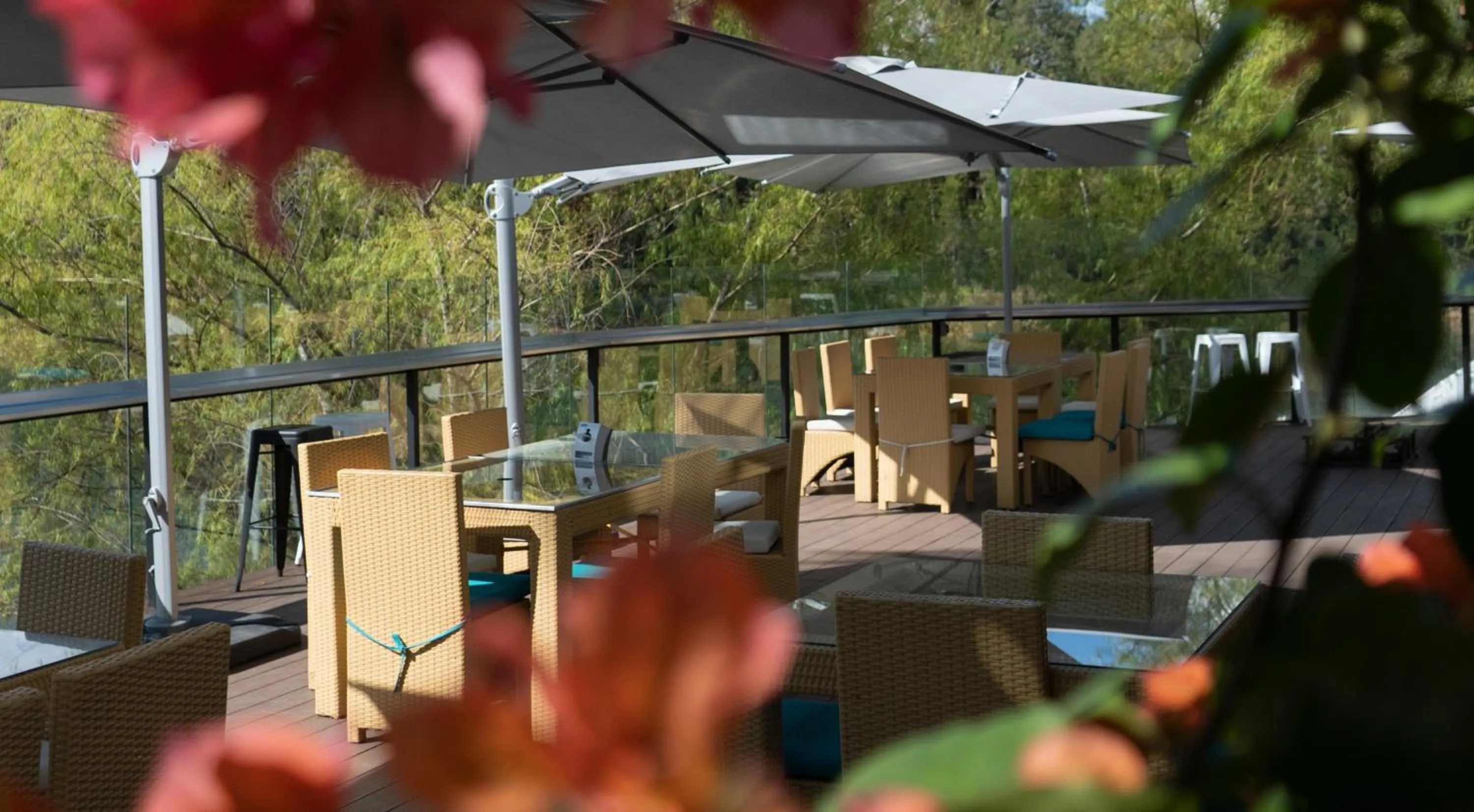 Restaurant/places to eat in Hotel Los Recuerdos