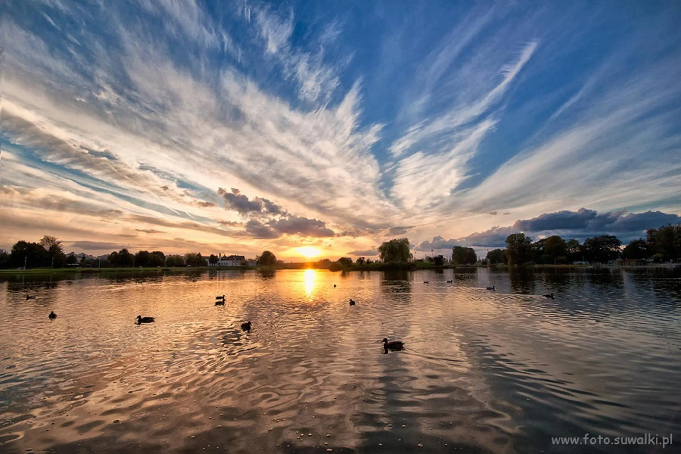 Area and facilities in Hotel Logos