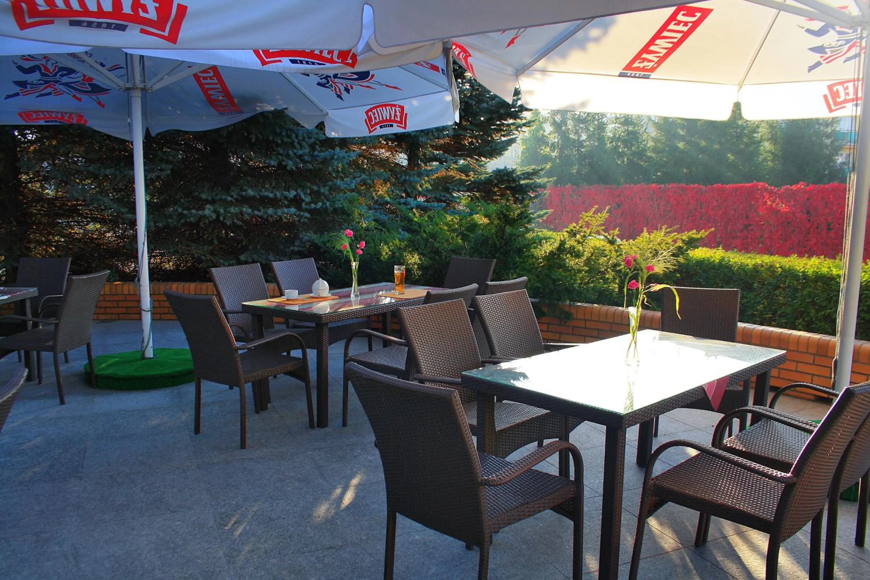 Balcony/Terrace in Hotel Logos