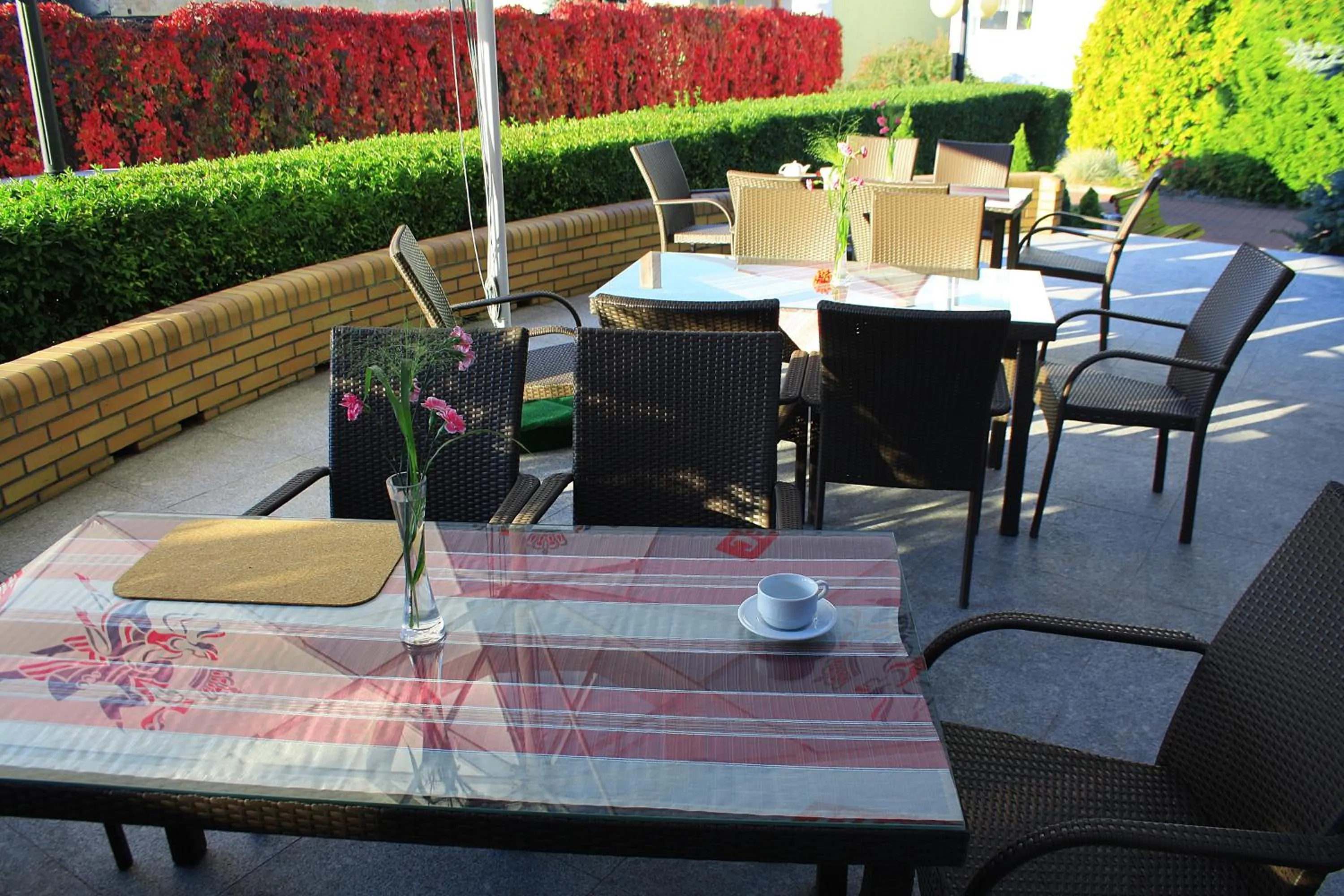 Balcony/Terrace in Hotel Logos