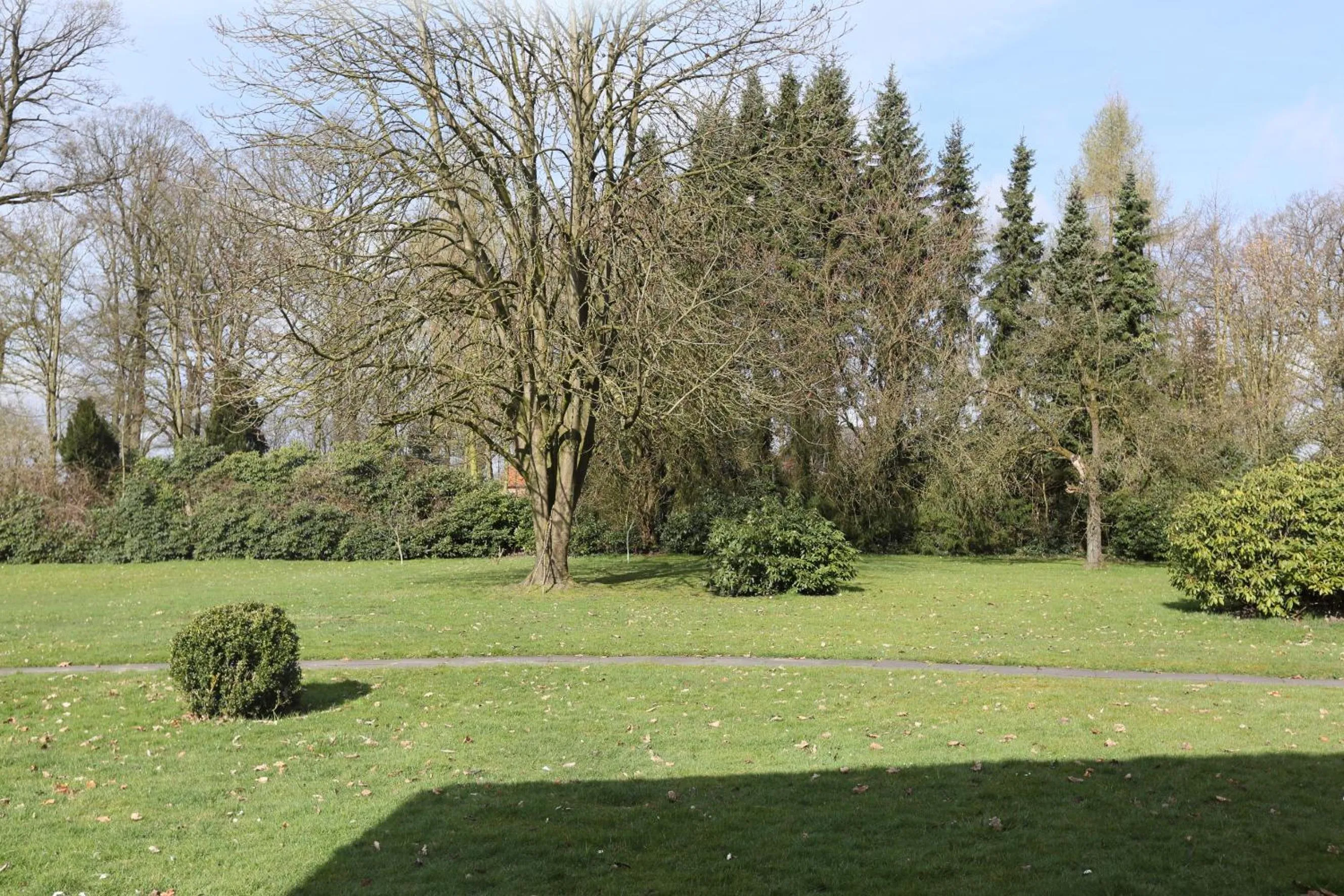 Garden view in Jeddinger Hof Land- und Seminarhotel
