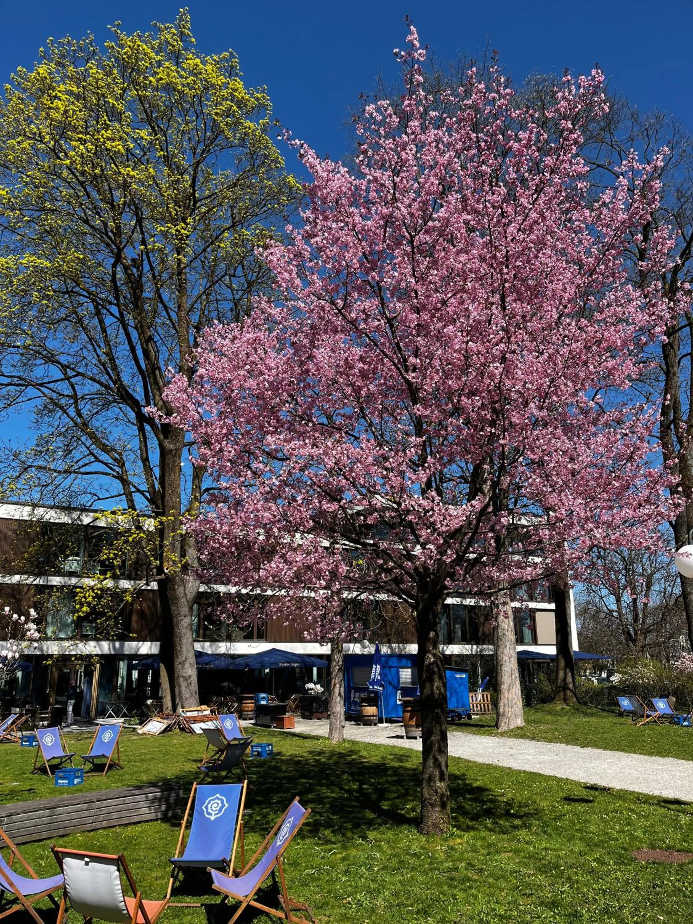 Garden in Jugend- und Familienhotel Augustin
