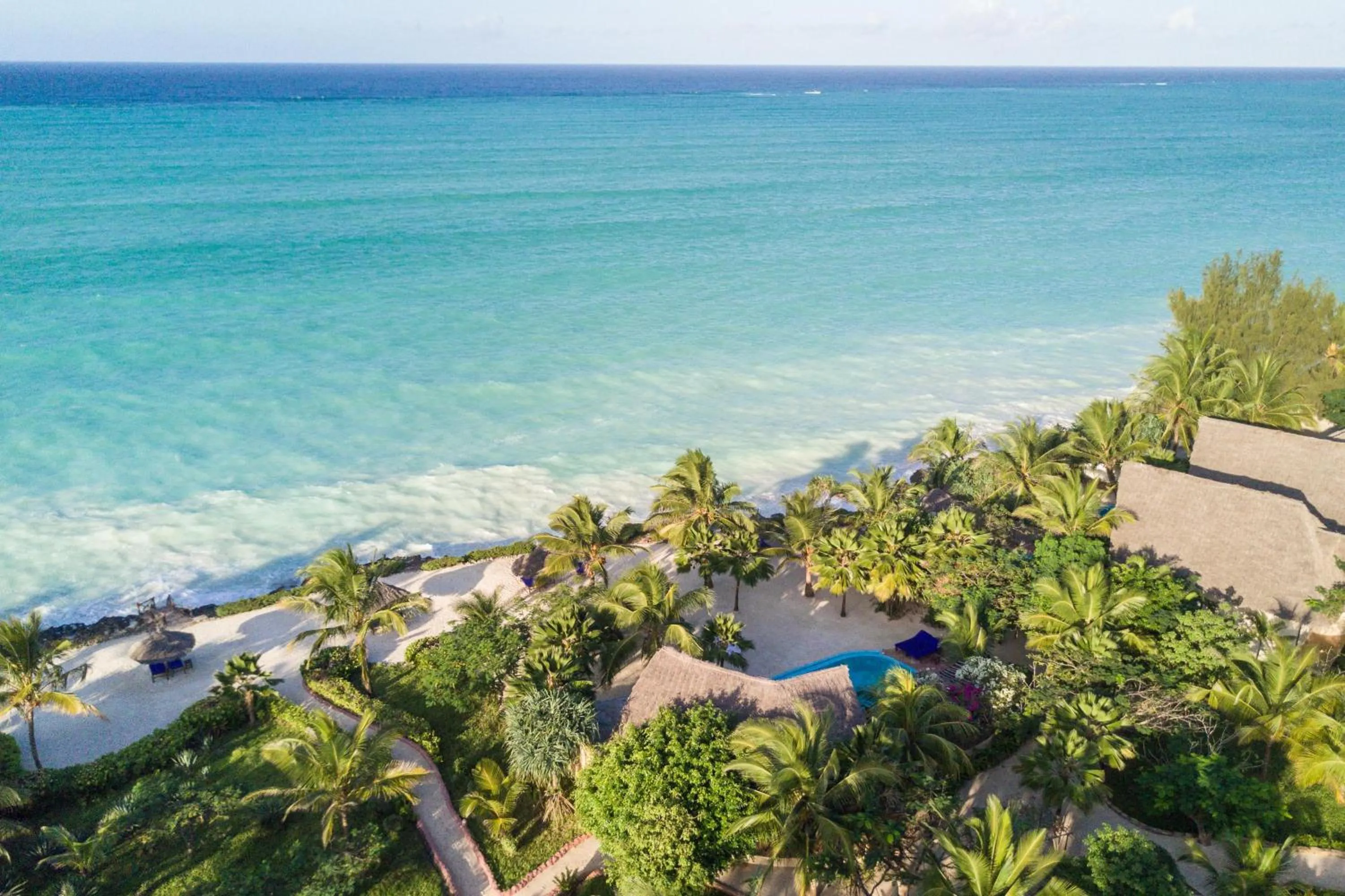 Bird's eye view in The Zanzibari