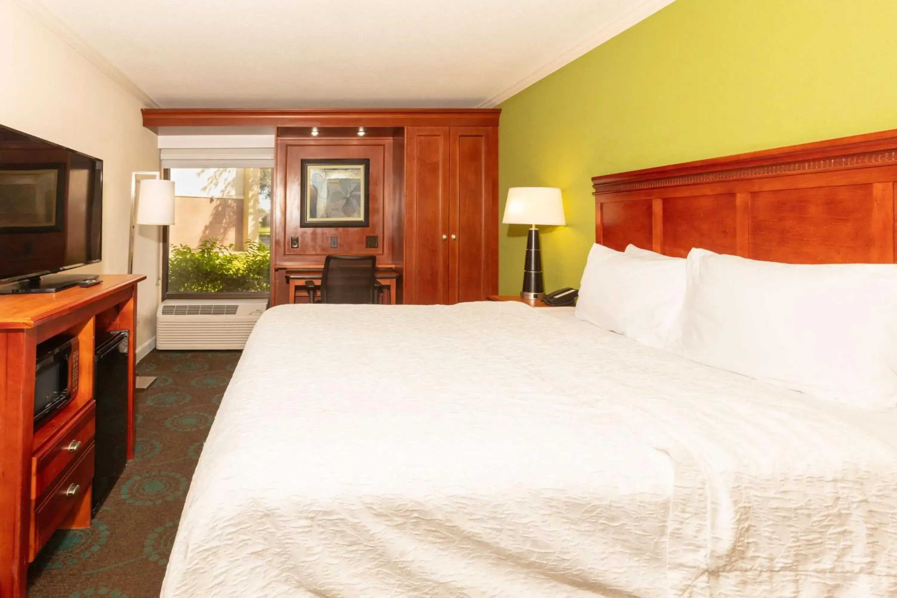 King Room with Accessible Tub - Mobility and Hearing Access/Non-Smoking in Hampton Inn Daytona Speedway-Airport King Room with Accessible Tub - Mobility and Hearing Access/Non-Smoking in Hampton Inn Daytona Speedway-Airport