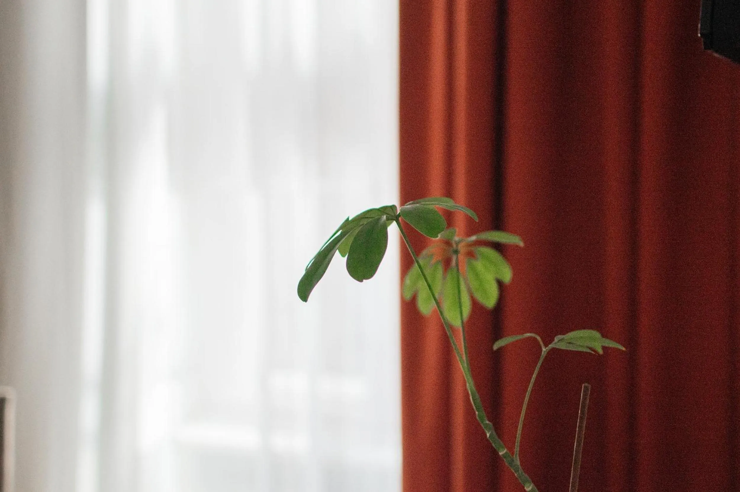 Decorative detail in Harmonia Palace - Luxury Apartments