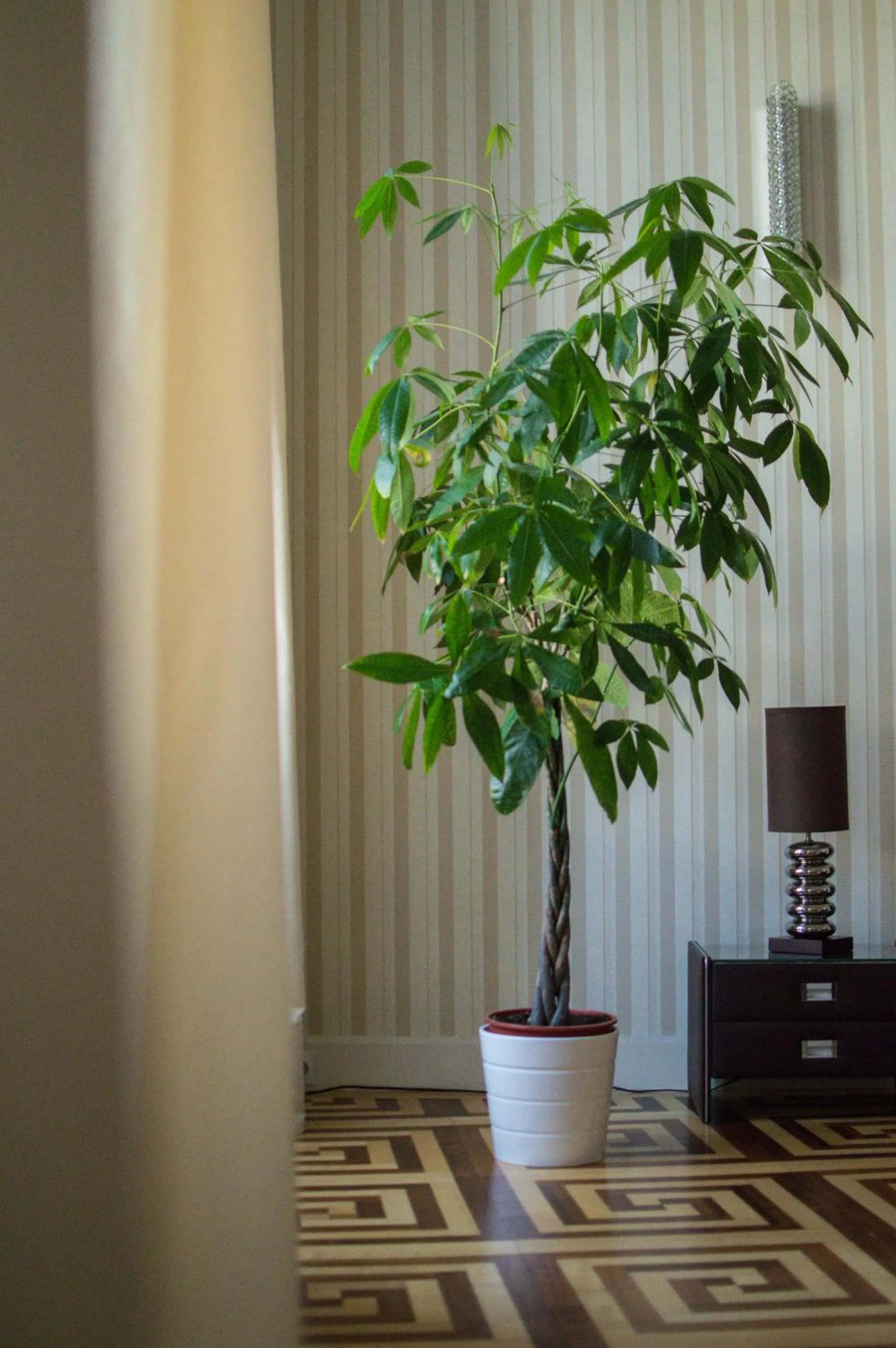 Decorative detail in Harmonia Palace - Luxury Apartments