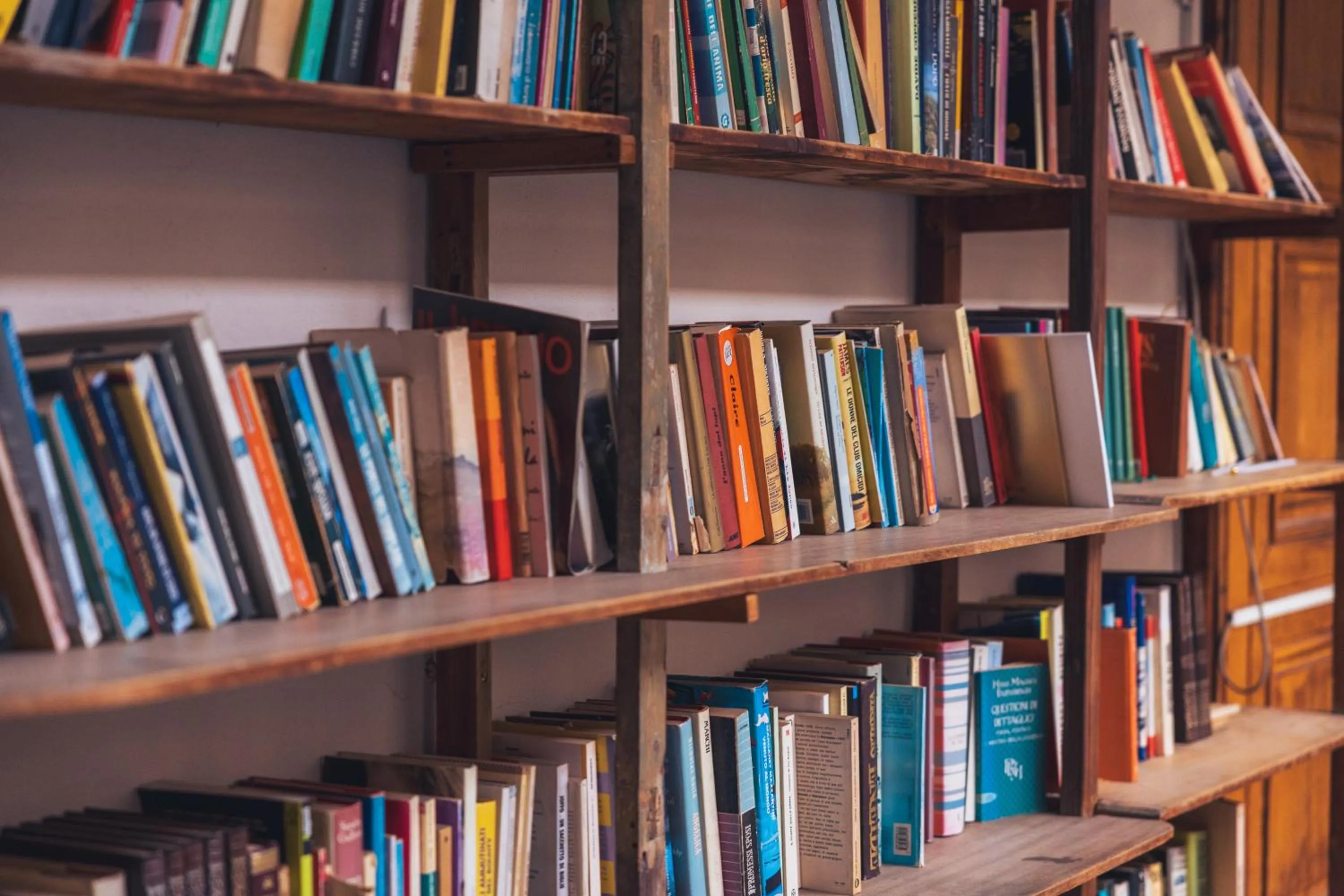 Library in OstellOlinda