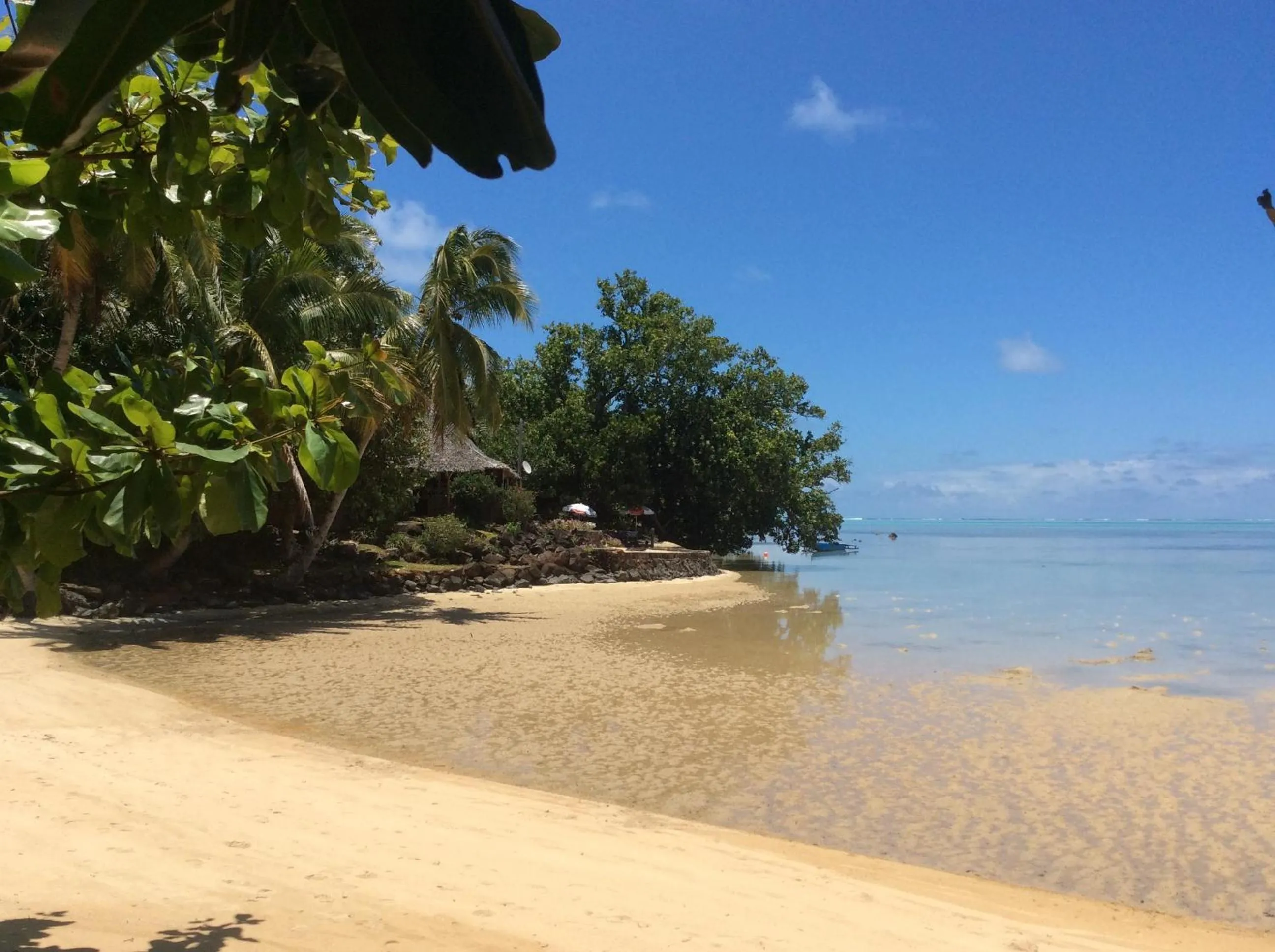 Sea view in Aurora Lodge
