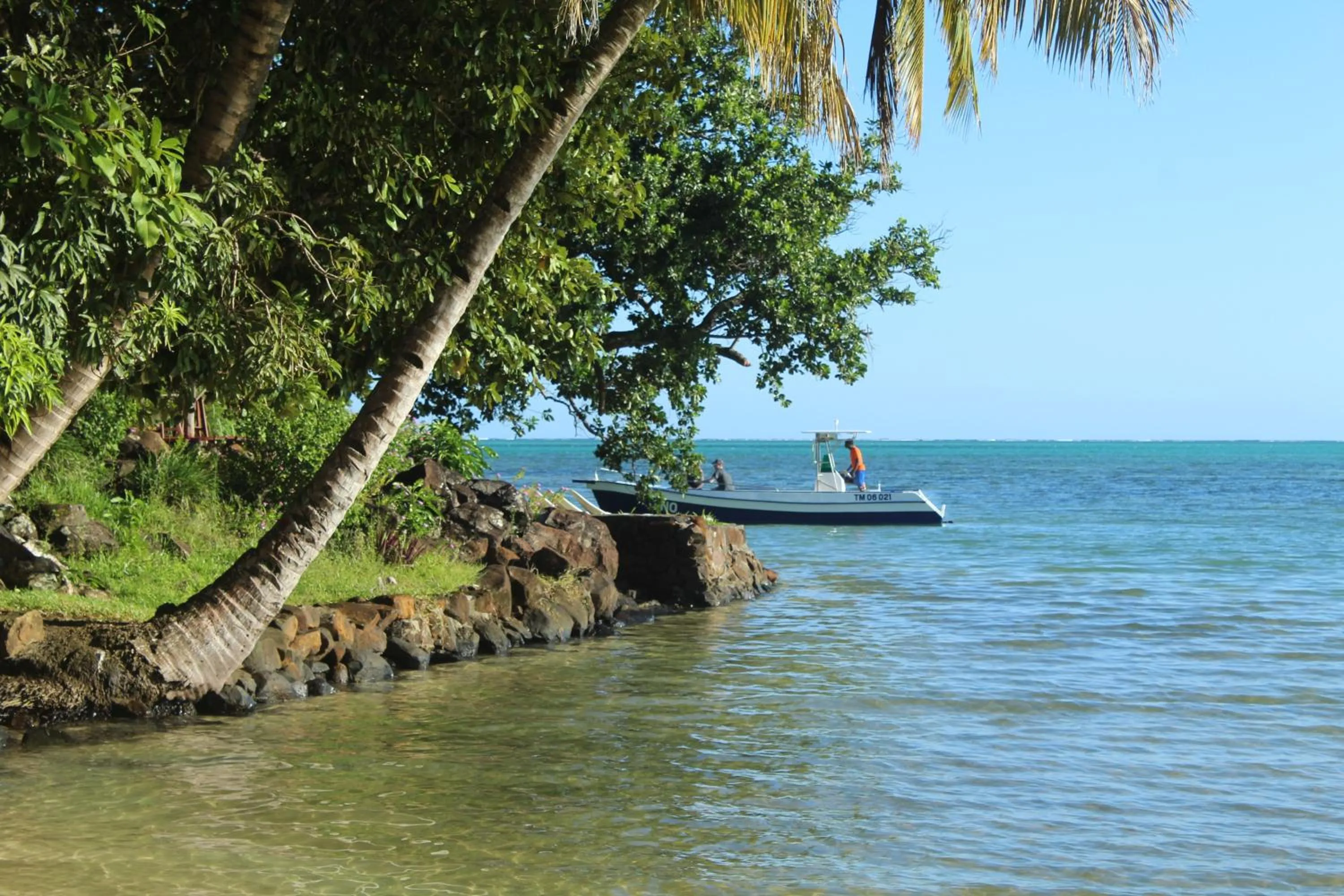 Activities in Aurora Lodge