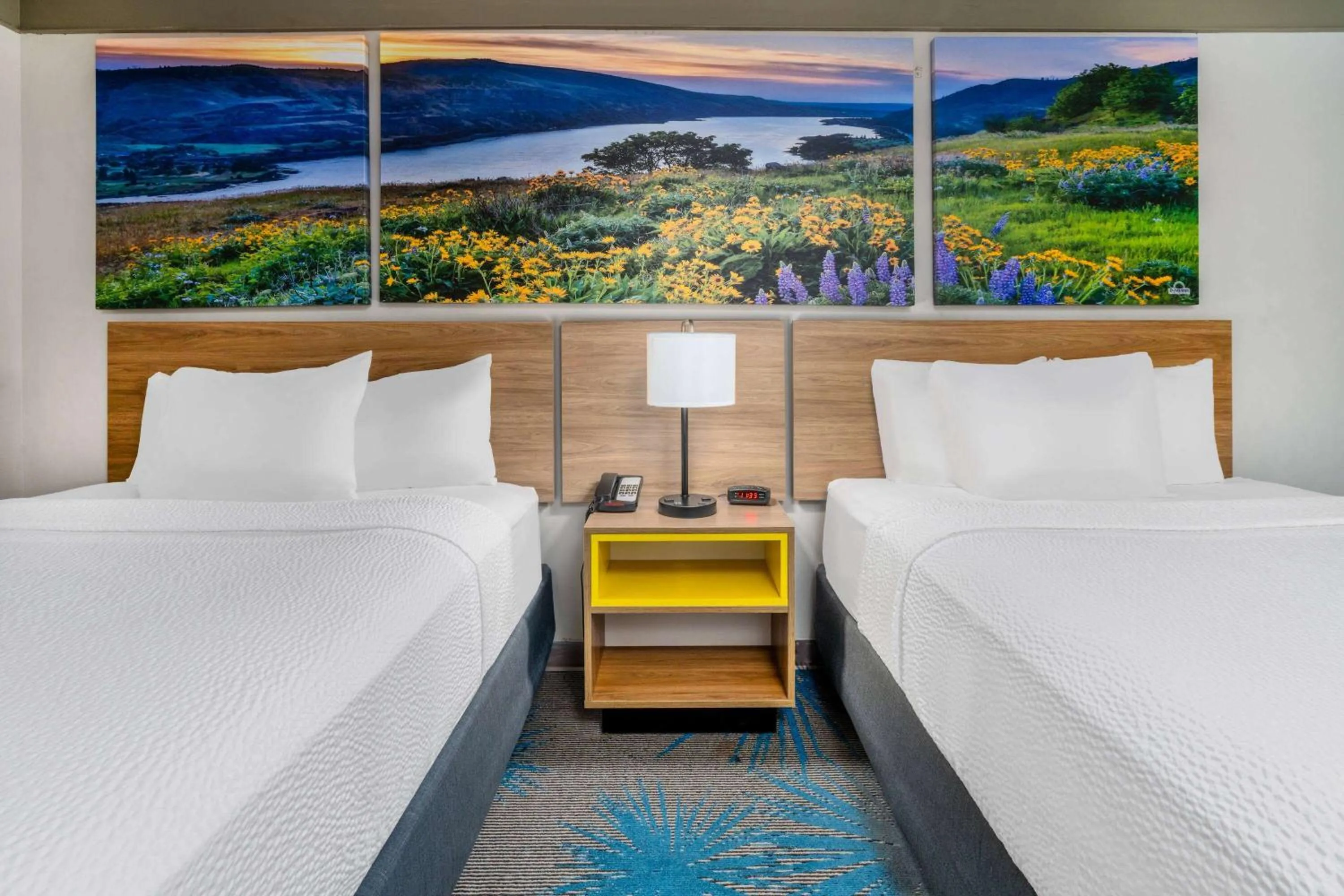 Photo of the whole room in Days Inn by Wyndham Delta CO