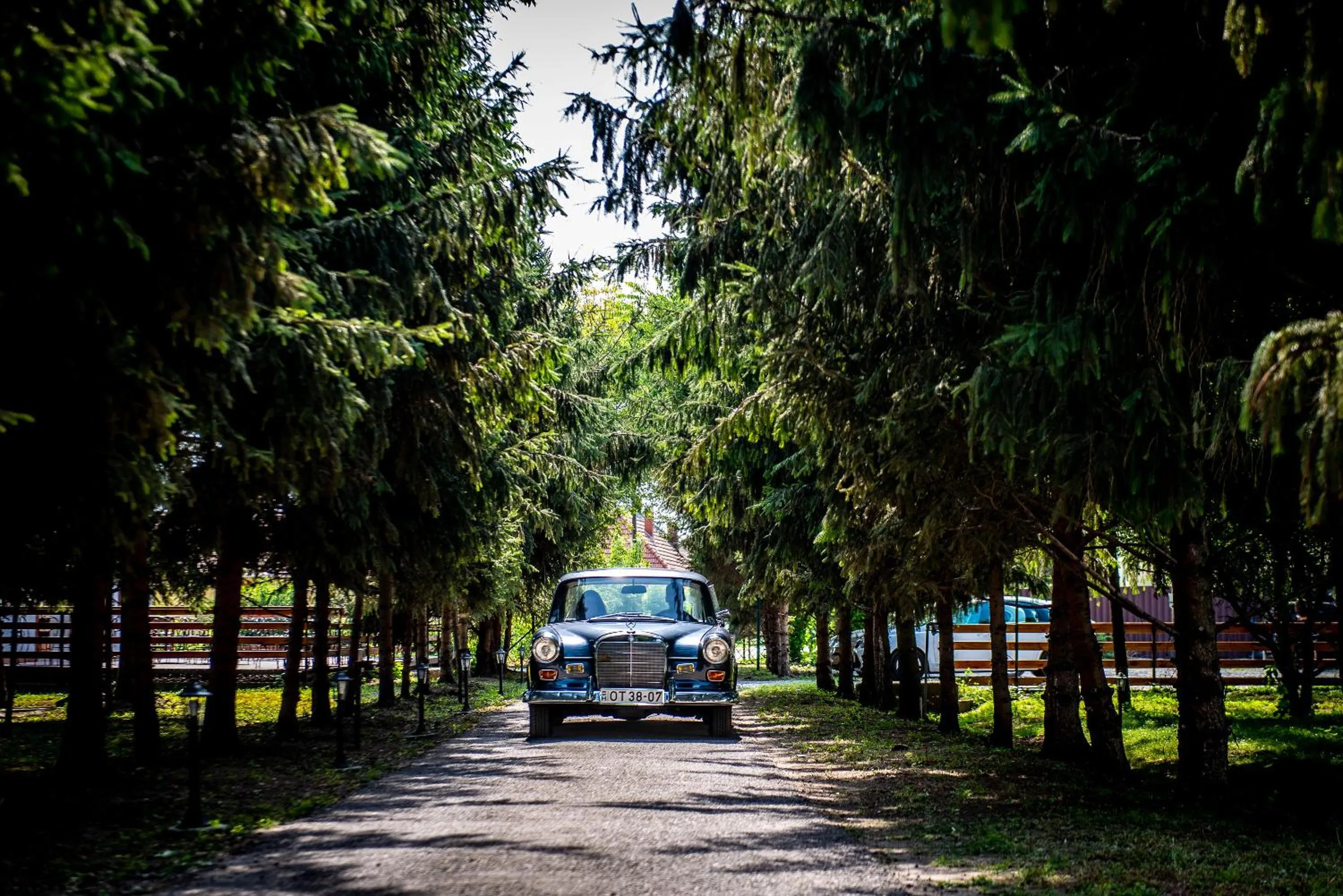 Garden in Herczeg Udvarház Poroszló