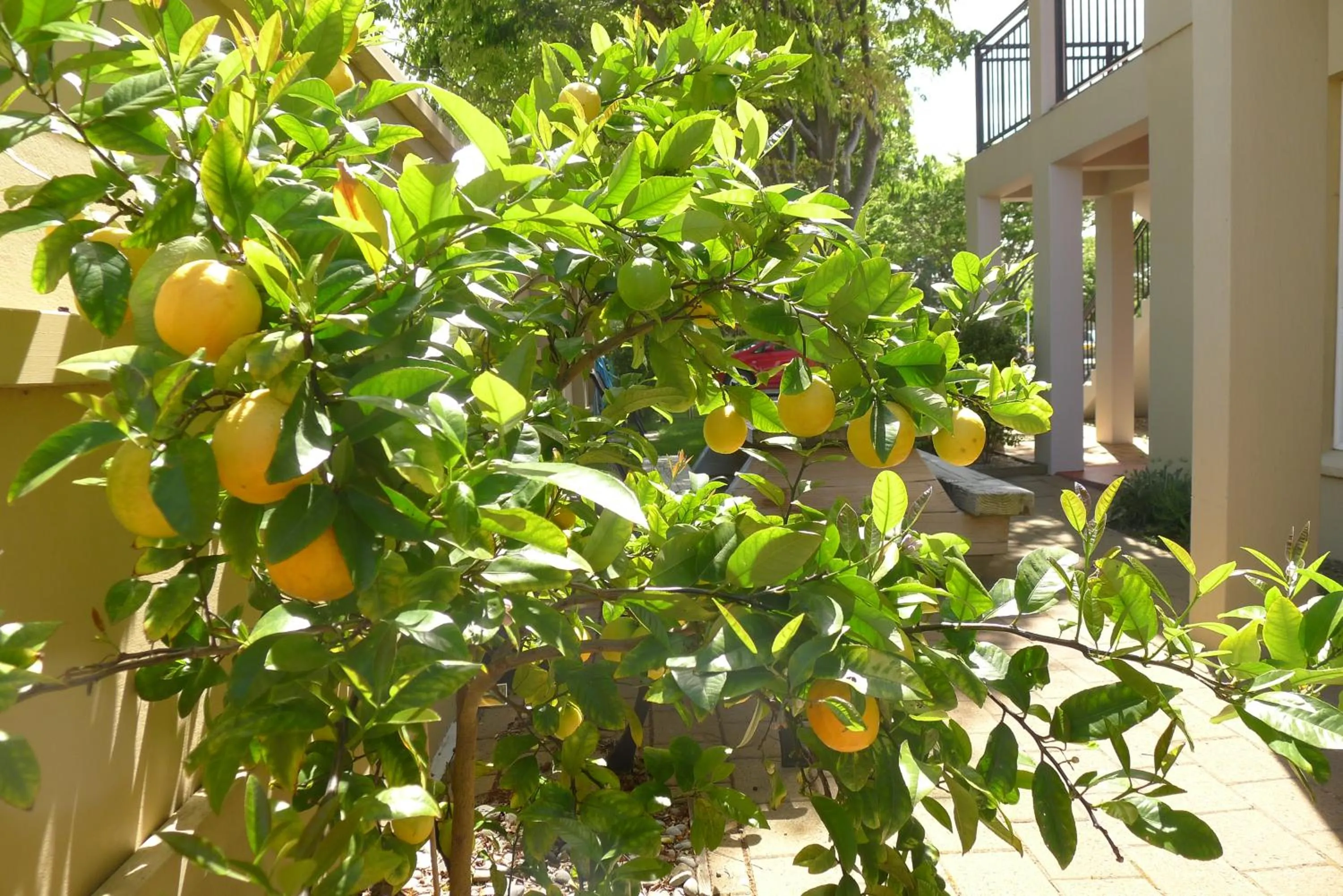 On site in Lugano Motor Lodge