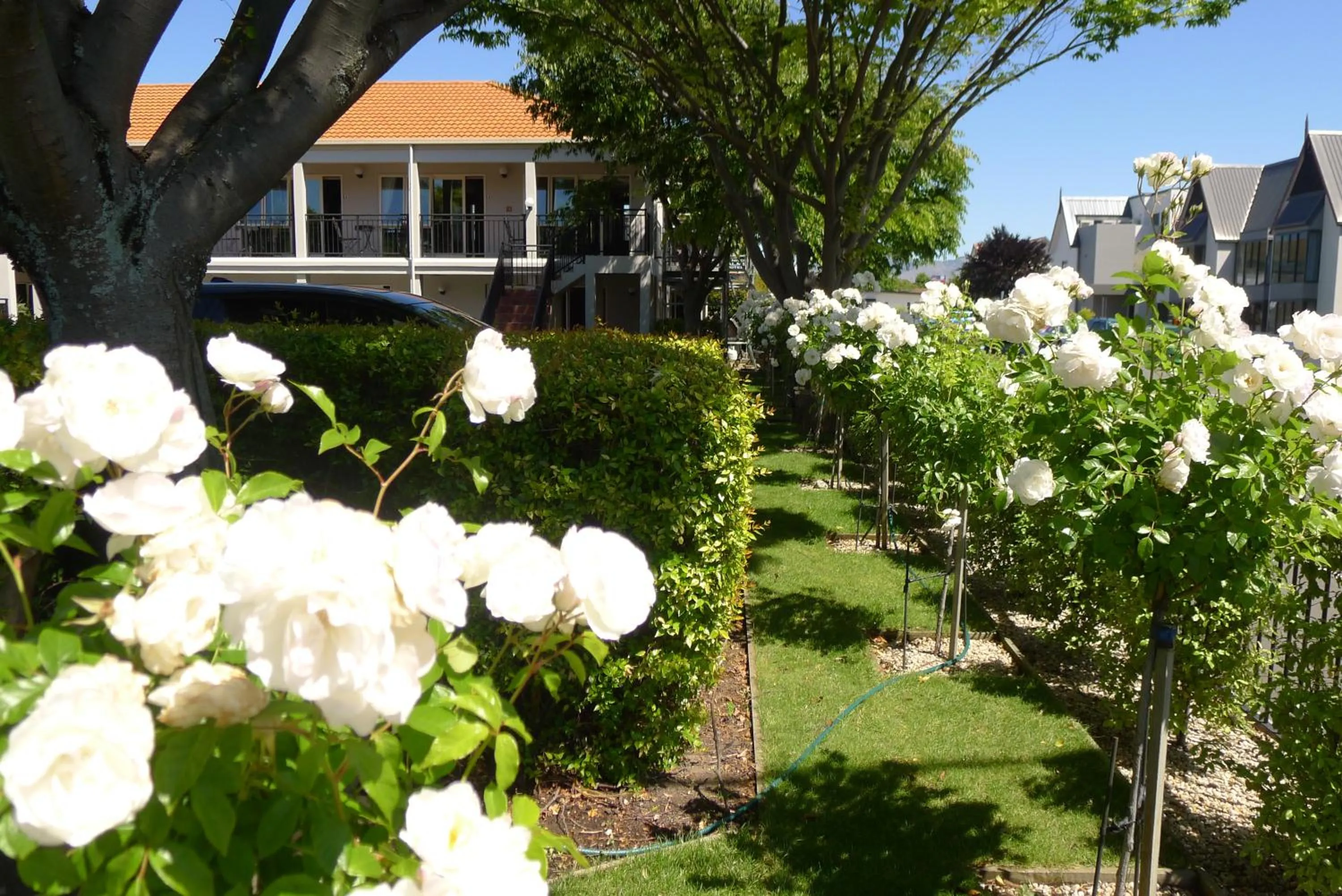 View (from property/room) in Lugano Motor Lodge