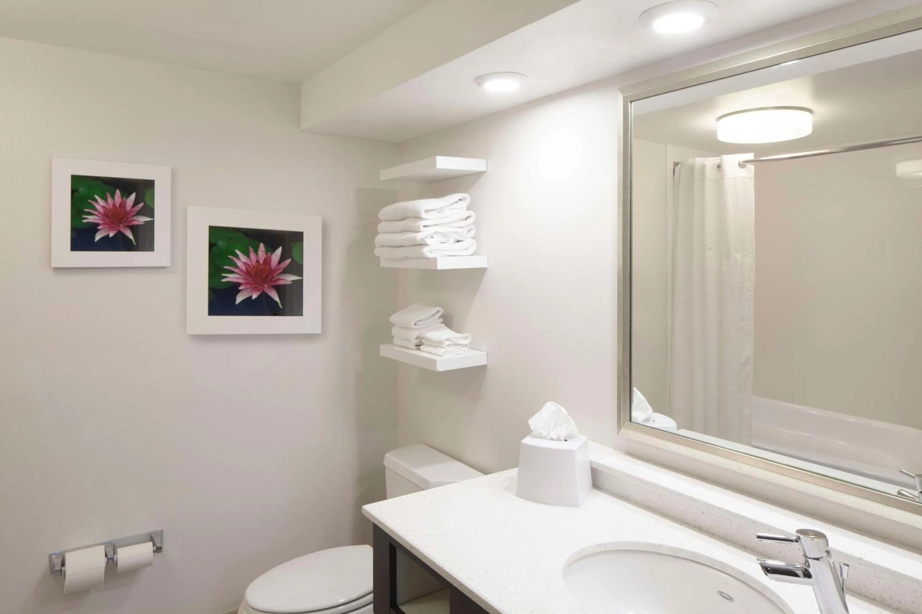 Bathroom in Hampton Inn Charleston-Southridge