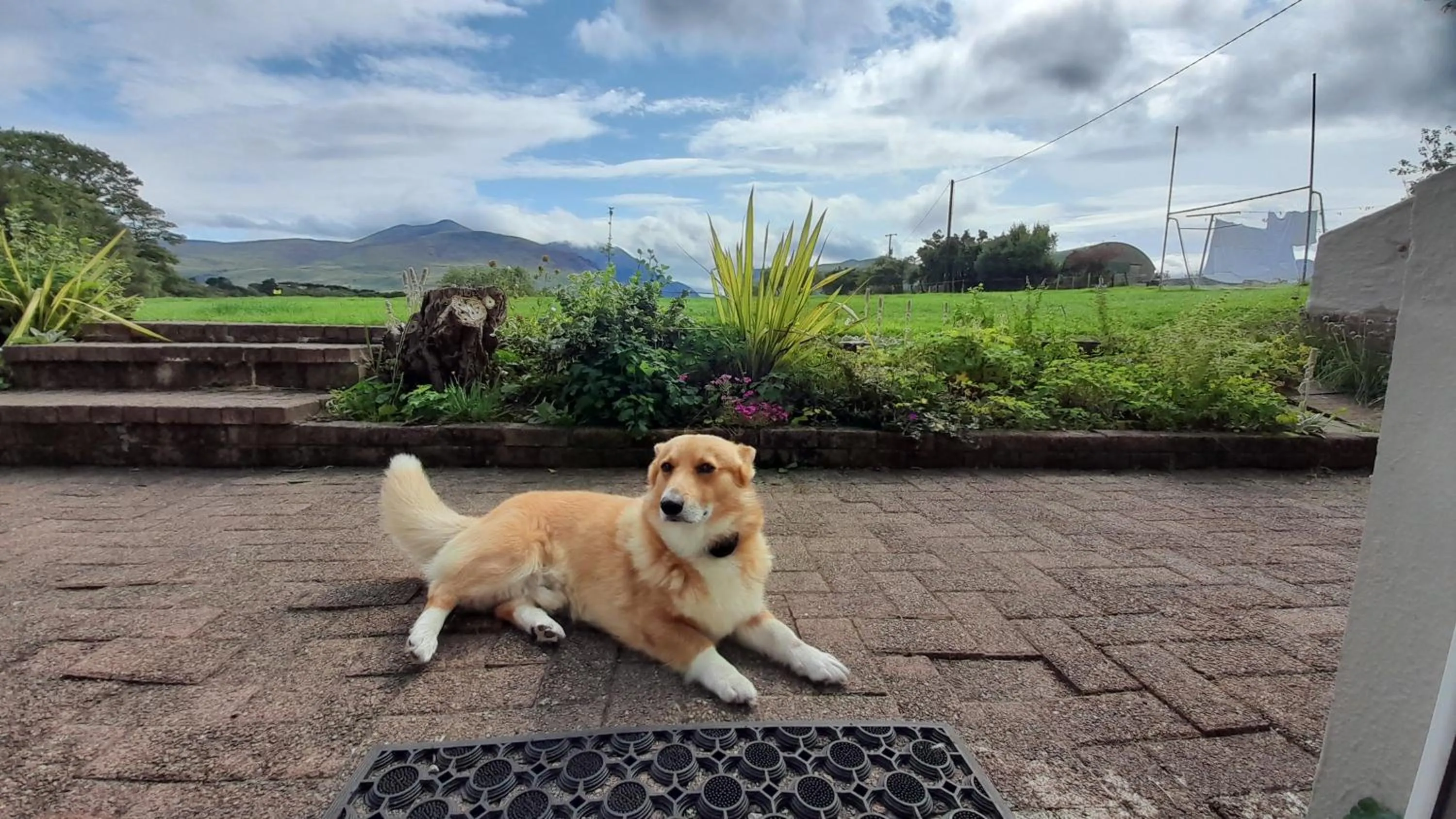 Pets in Inveraray Farm