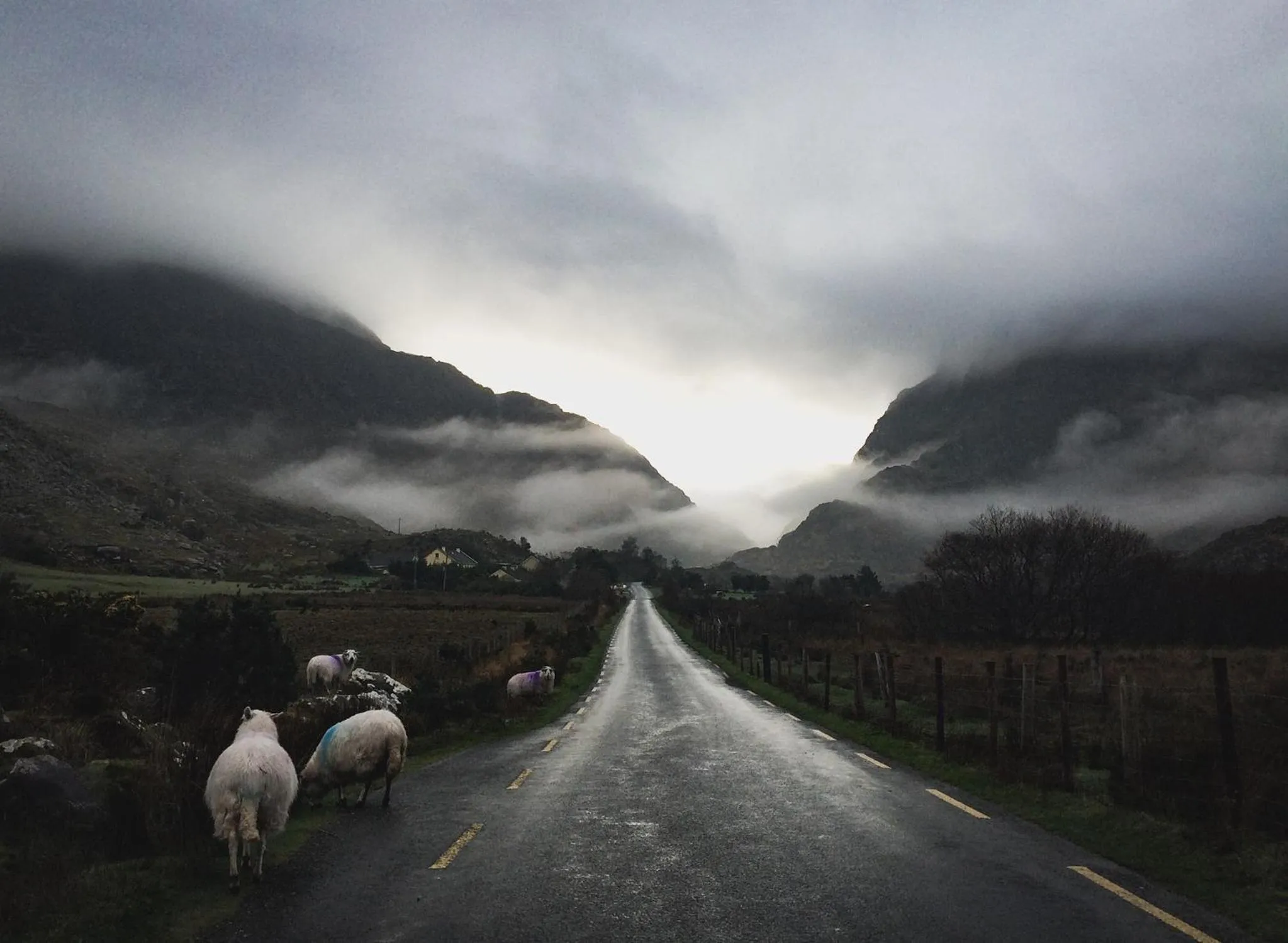 Nearby landmark in Inveraray Farm