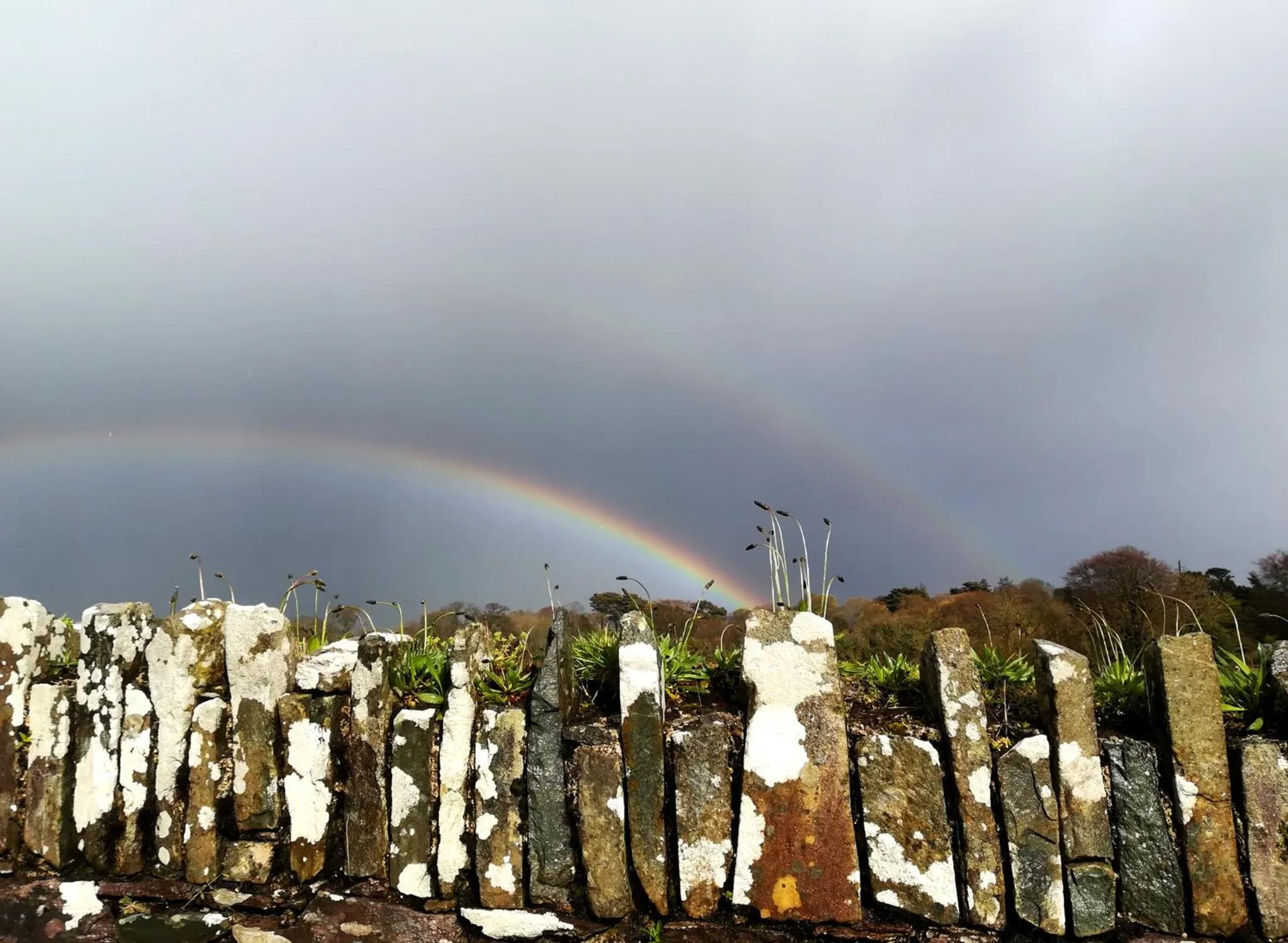 Neighbourhood in Inveraray Farm