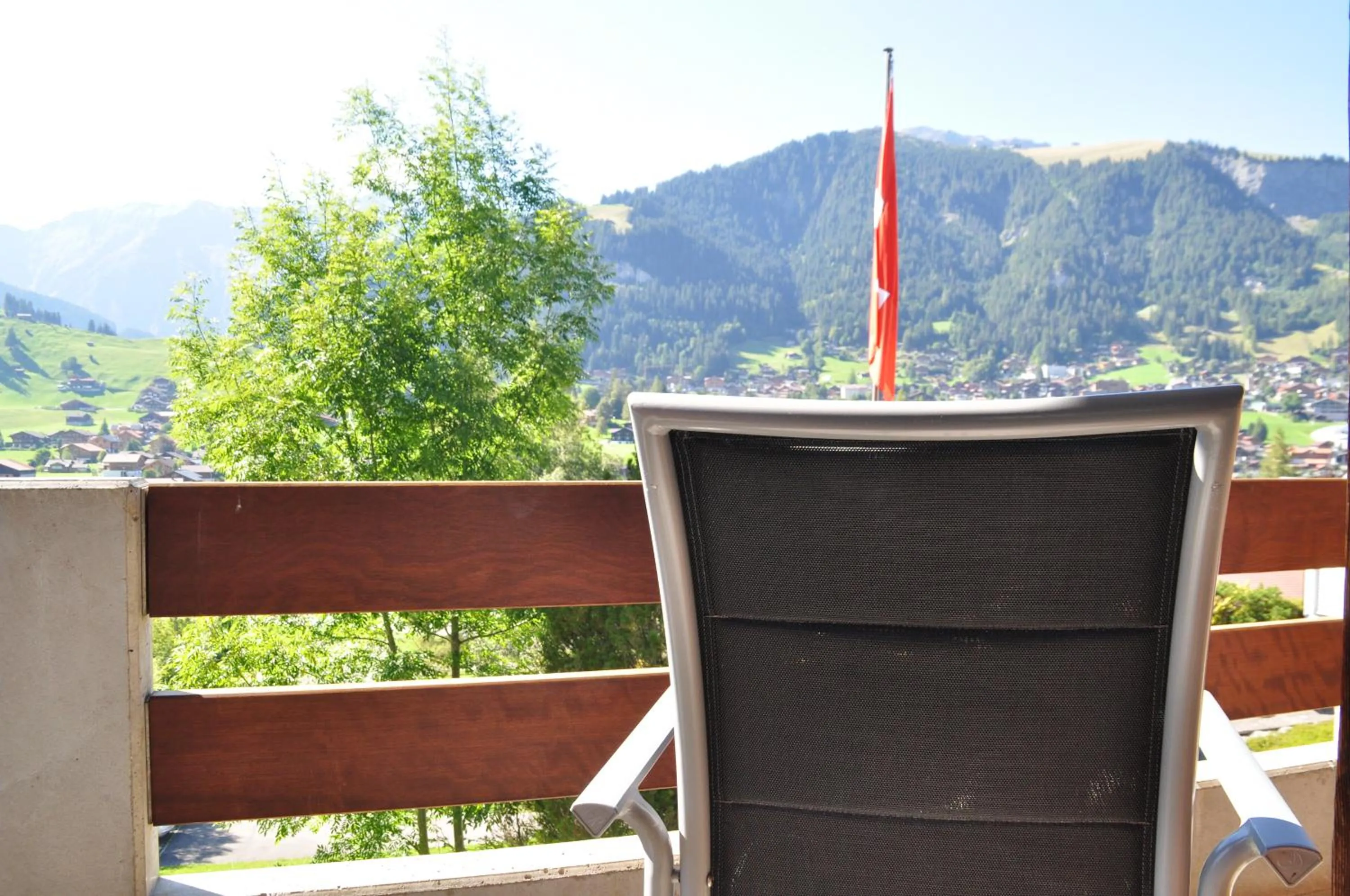 View (from property/room) in Ferien- und Familienhotel Alpina Adelboden