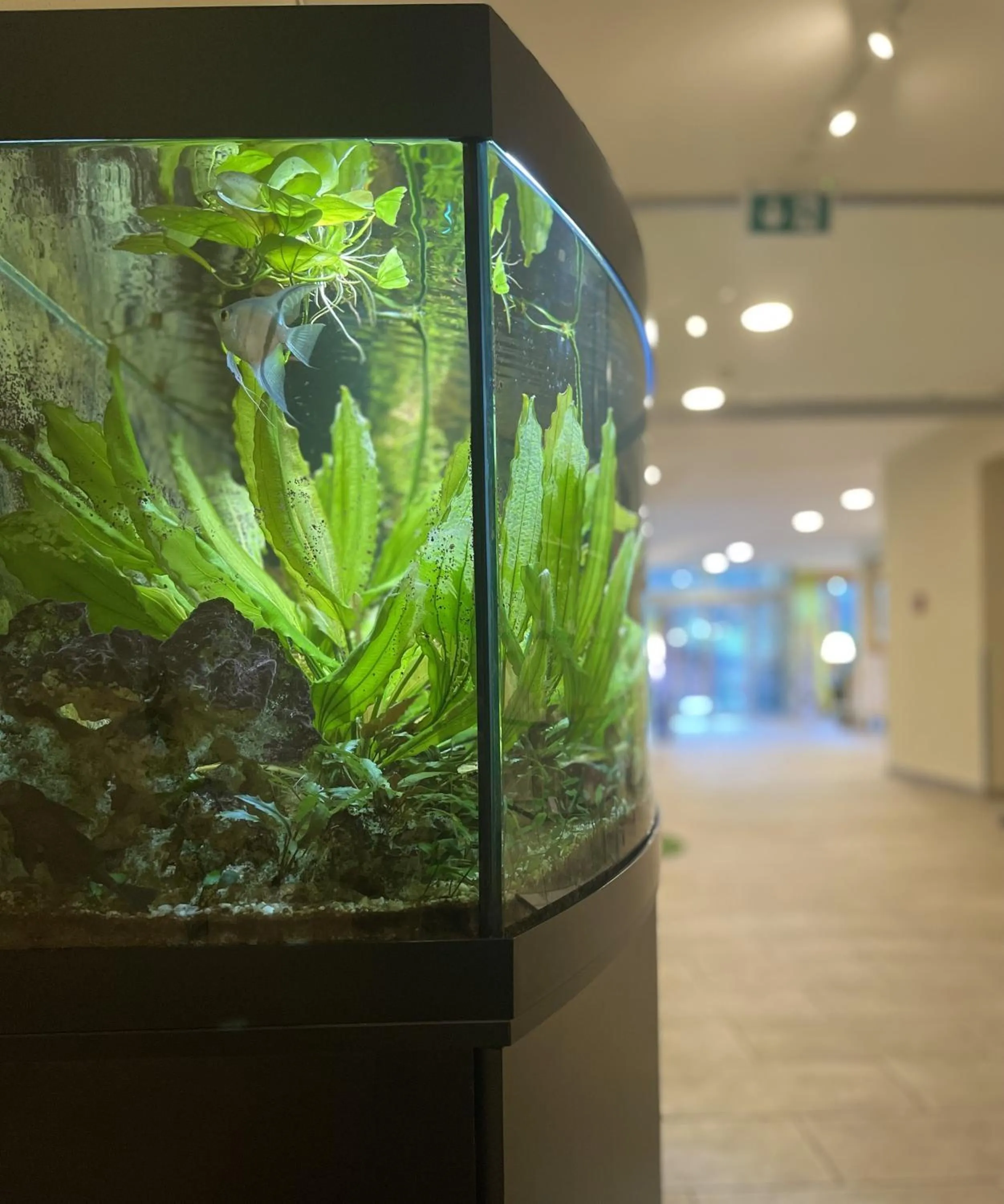 Lobby or reception in Ferien- und Familienhotel Alpina Adelboden