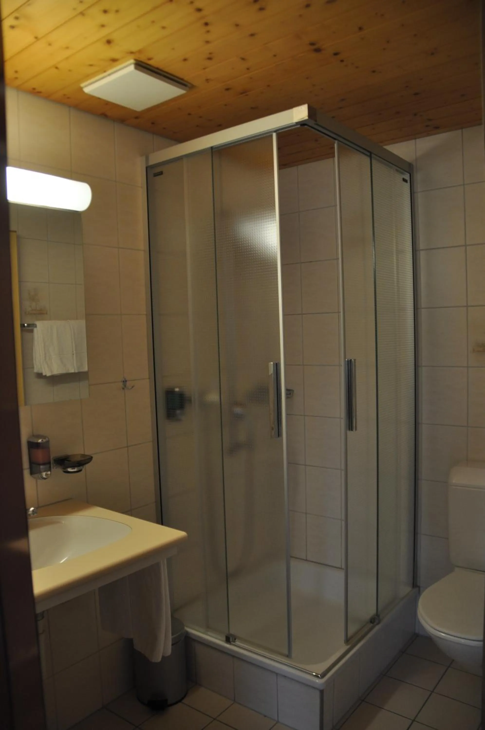 Bathroom in Ferien- und Familienhotel Alpina Adelboden