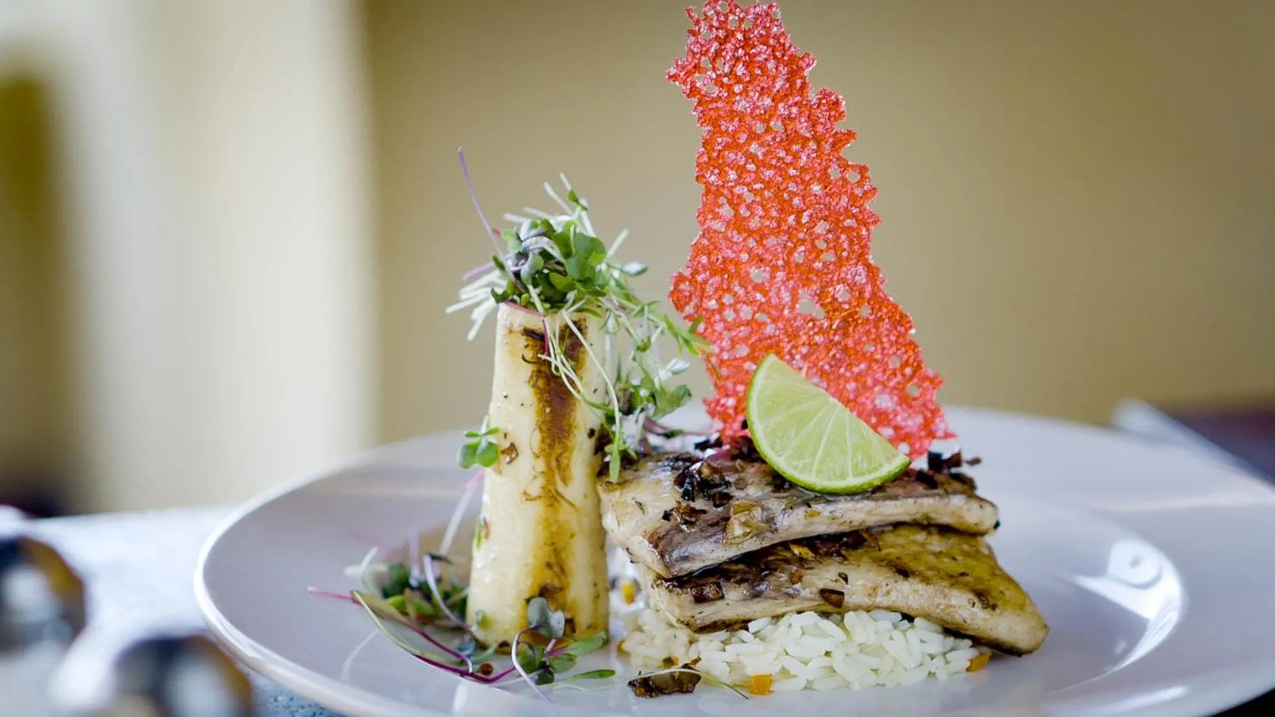 Restaurant/places to eat in Barceló Puerto Vallarta - All Inclusive