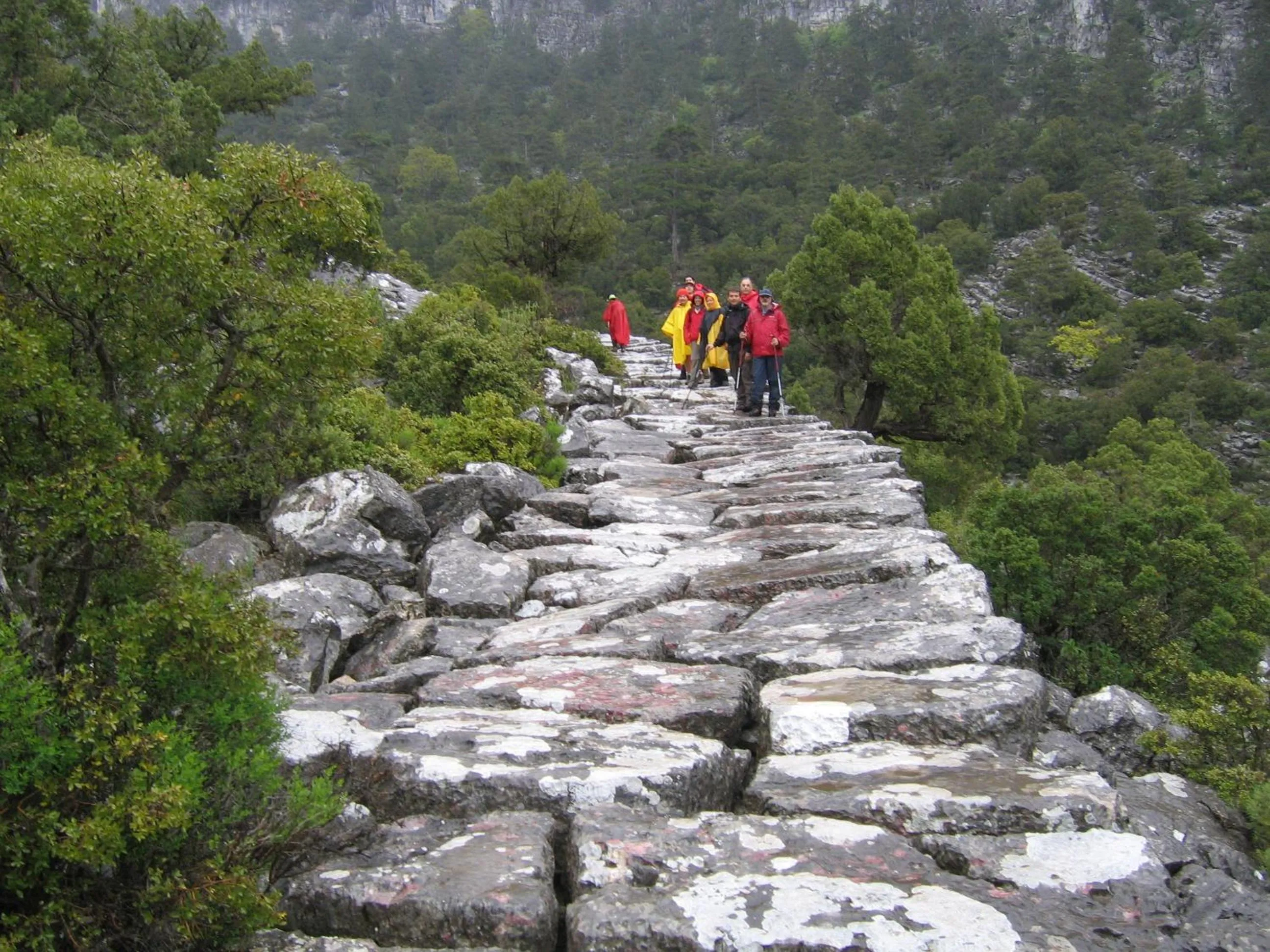 Day in Fulya Pension