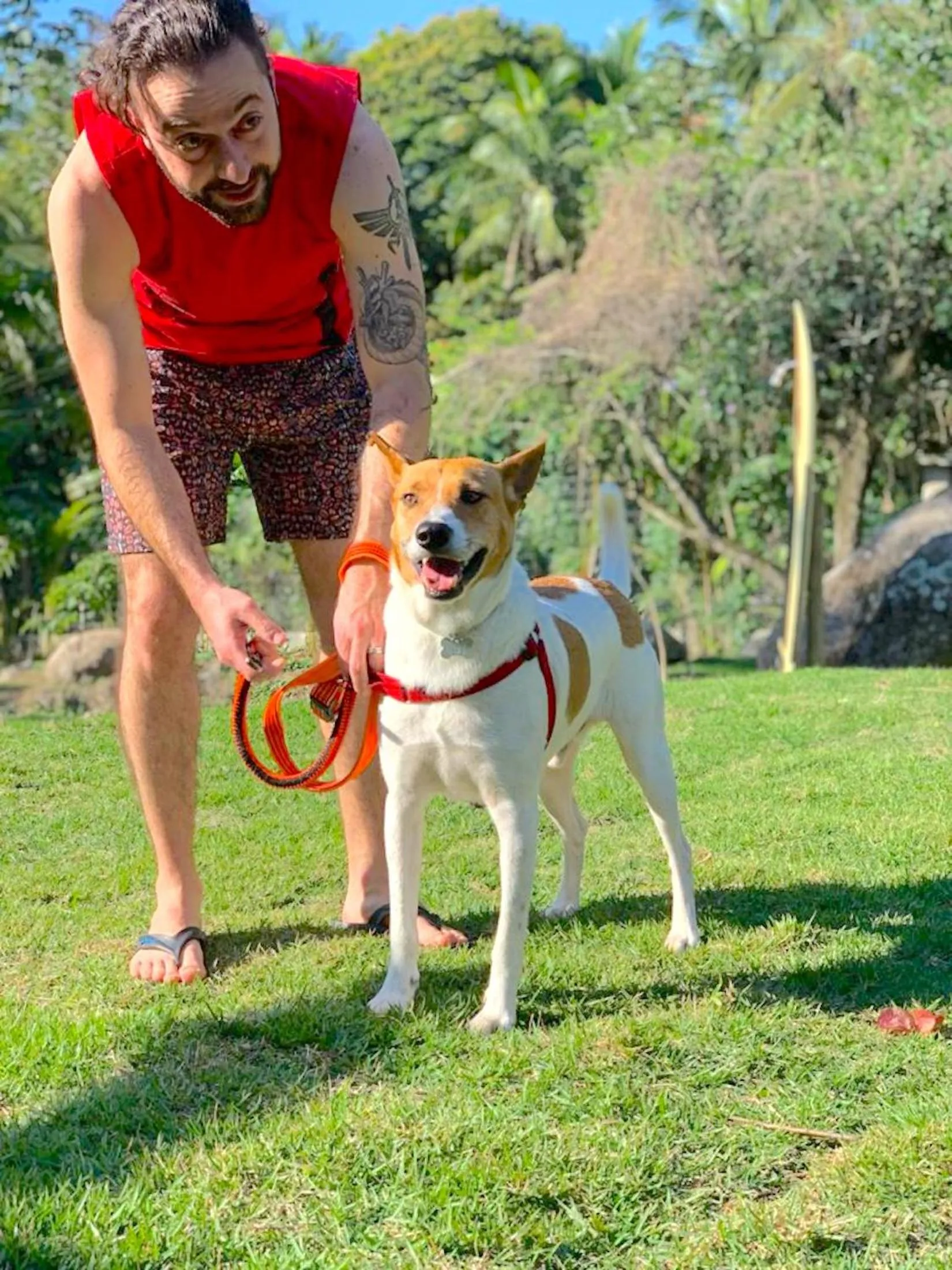 Animals in Smart Hotel Reserva Ilhabela