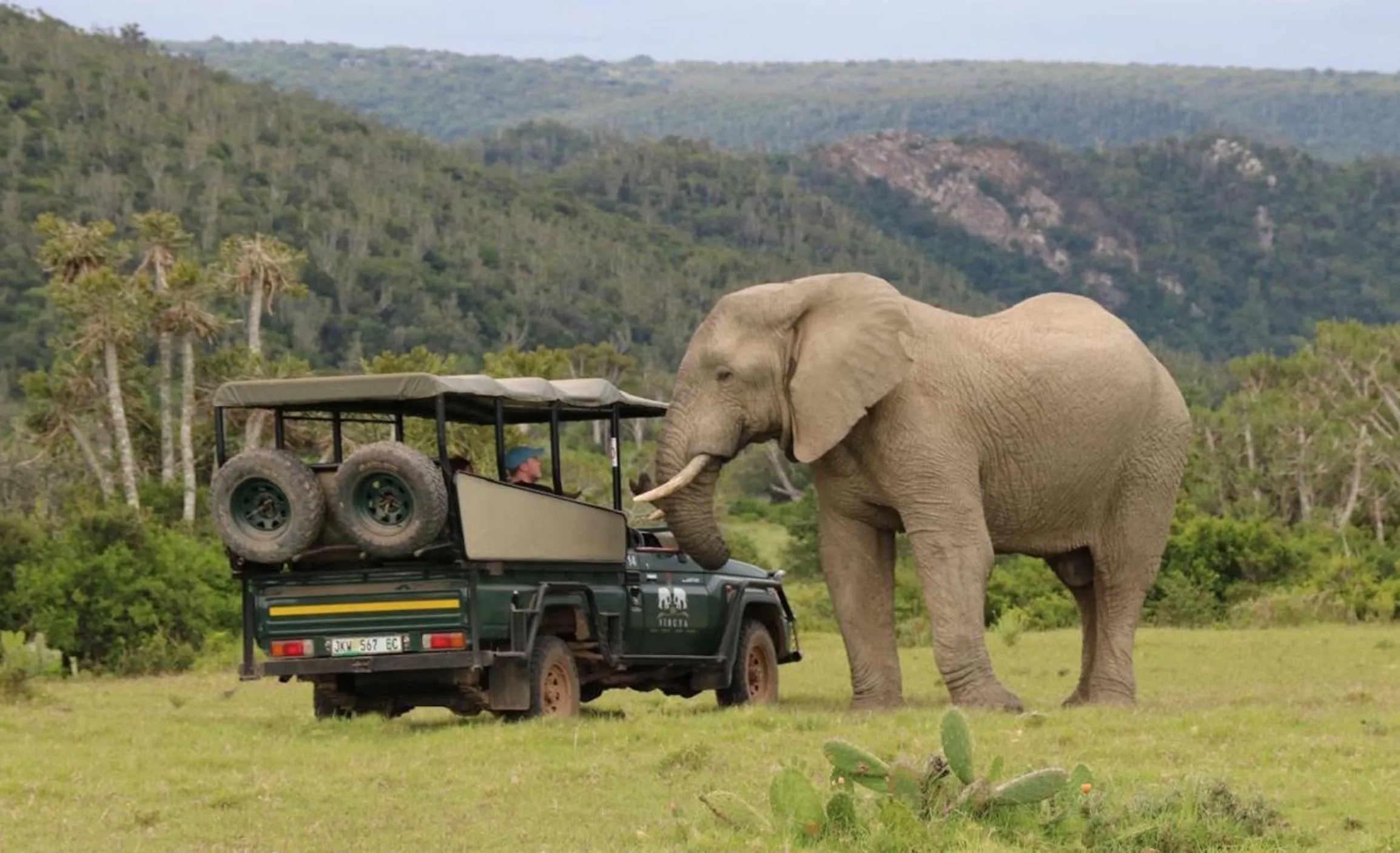 Sibuya Game Reserve and Lodge
