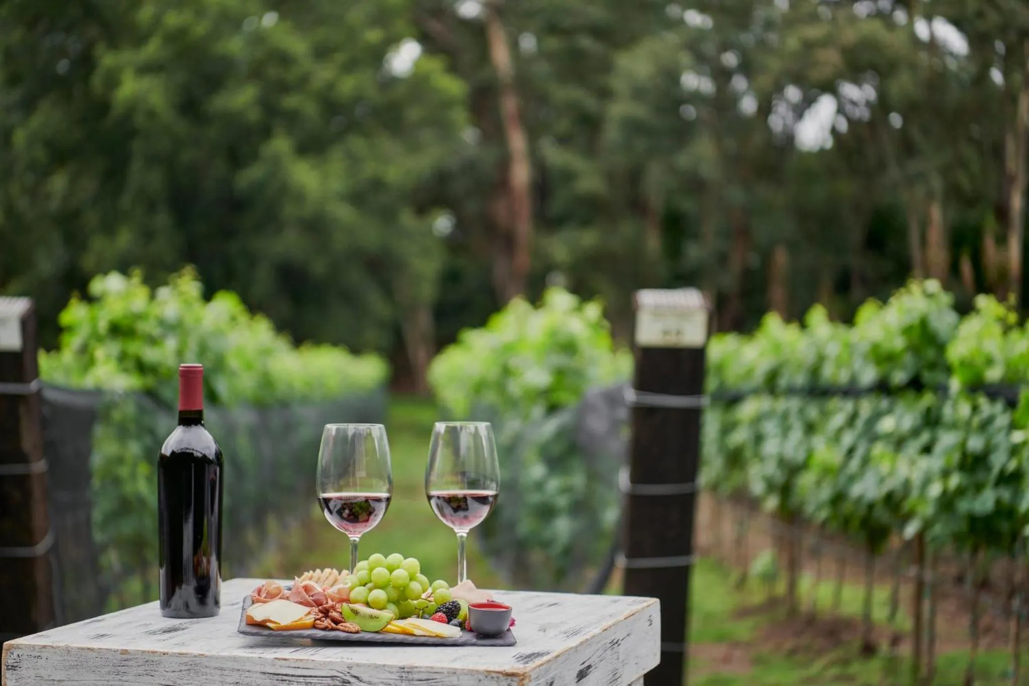 Nearby landmark in Fiesta Americana Hacienda Galindo Resort & Spa