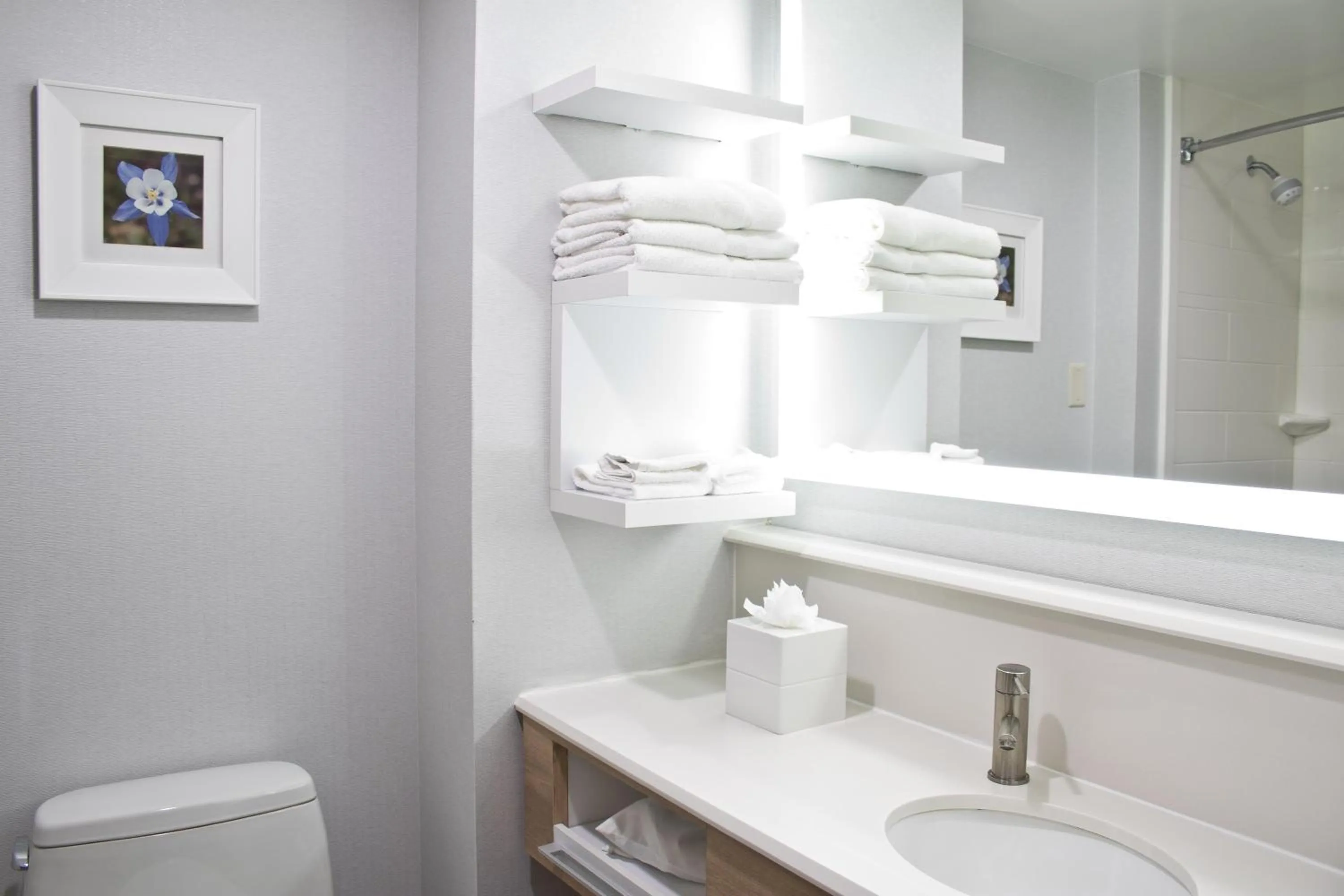 Bathroom in Hampton Inn & Suites Denver-Speer Boulevard