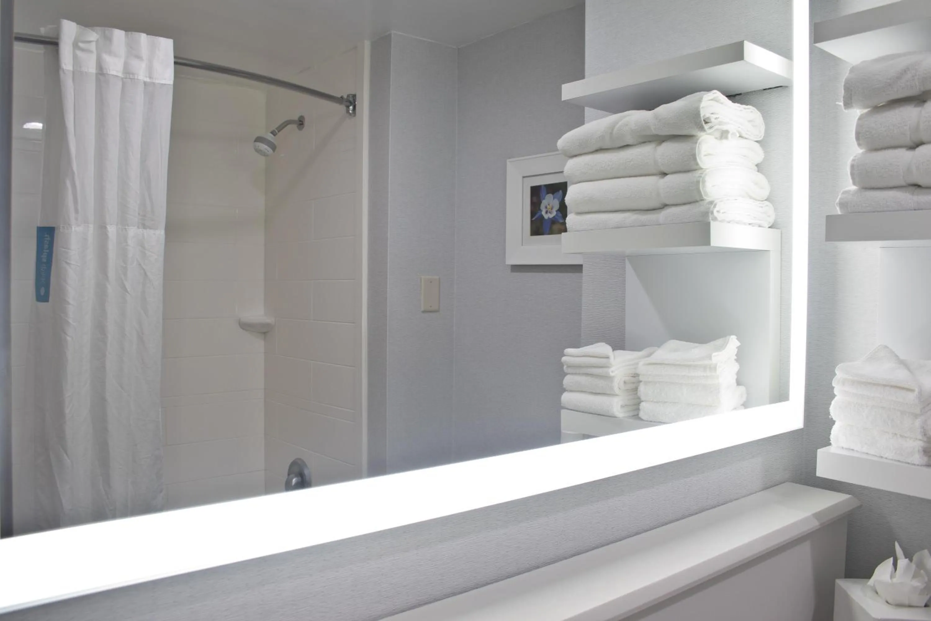 Bathroom in Hampton Inn & Suites Denver-Speer Boulevard