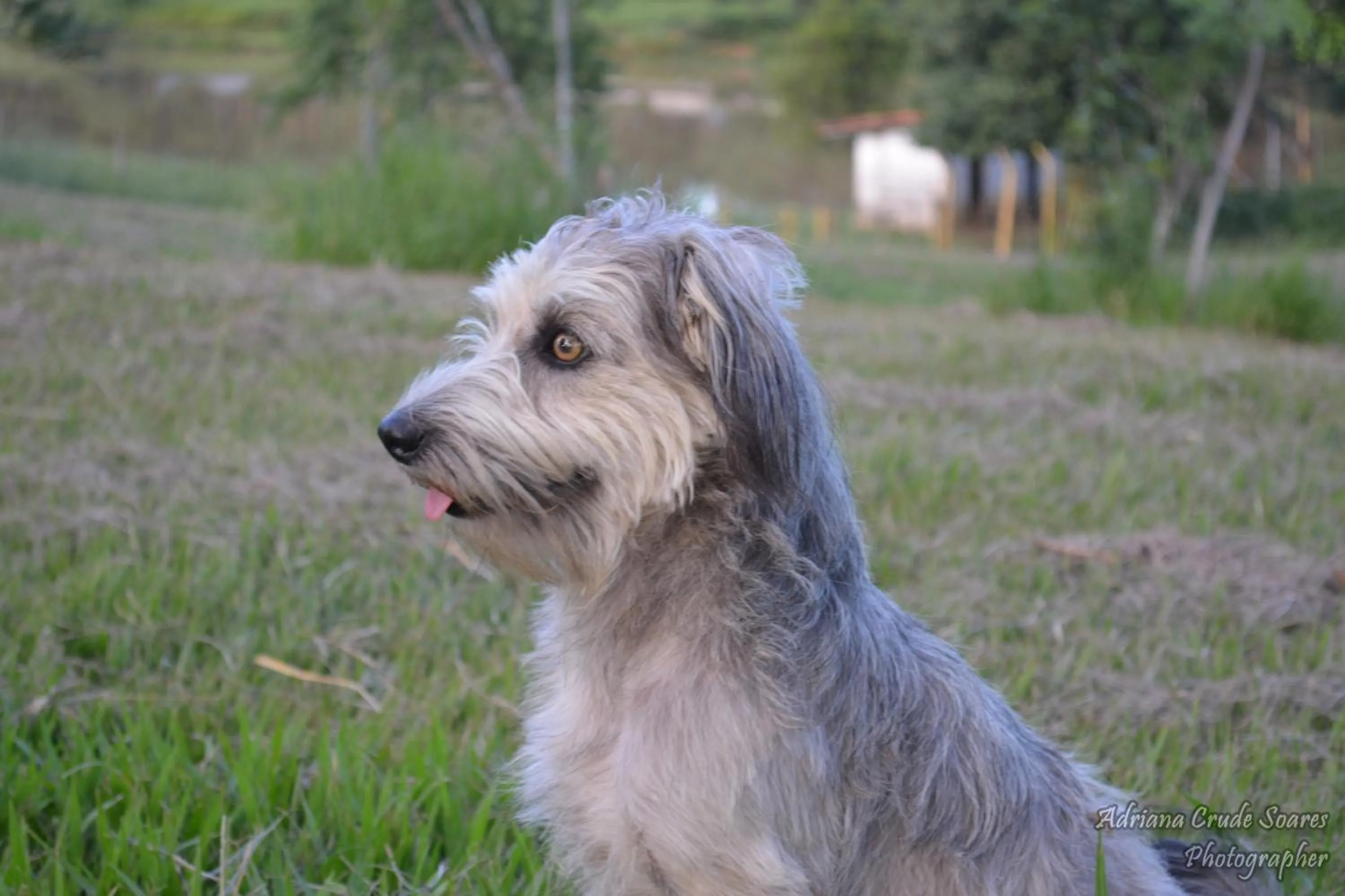 Day in Hotel Fazenda Sete Lagos