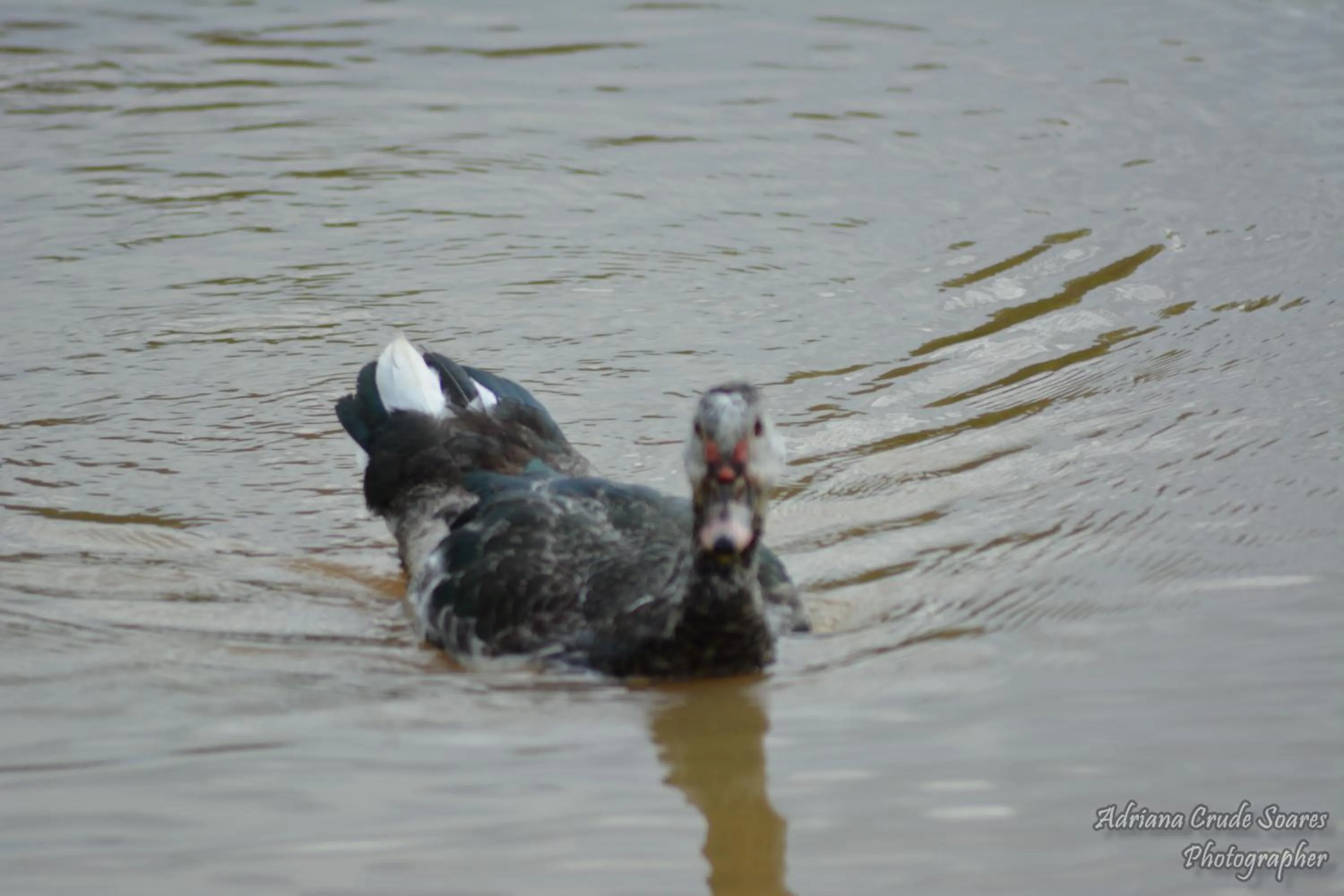 Day in Hotel Fazenda Sete Lagos