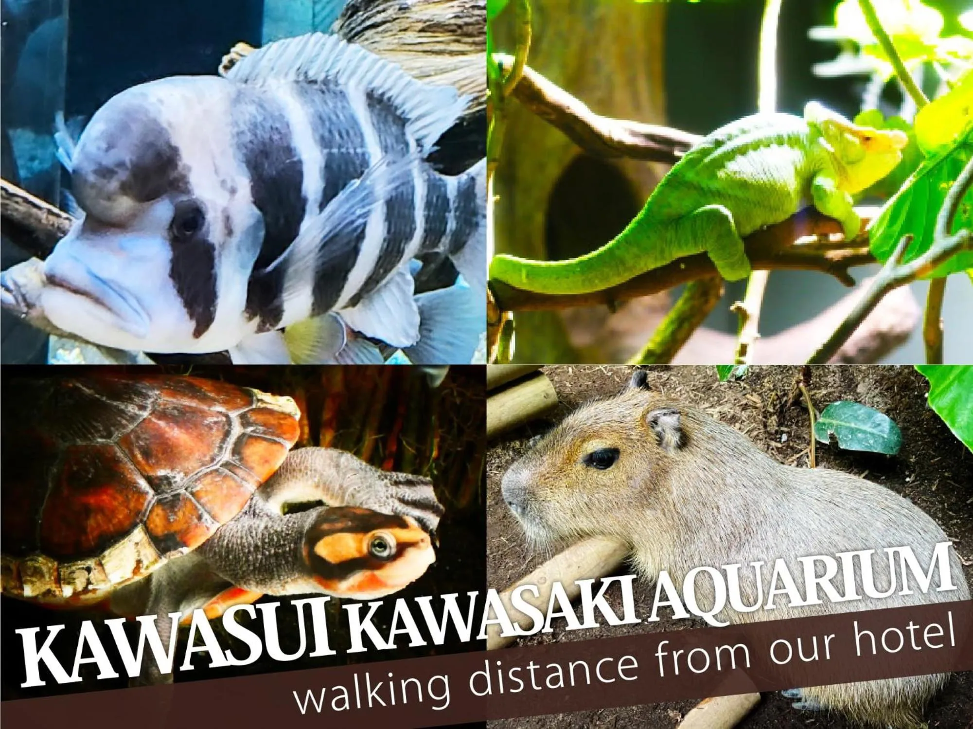 Nearby landmark in Hotel Gran Bali Resort