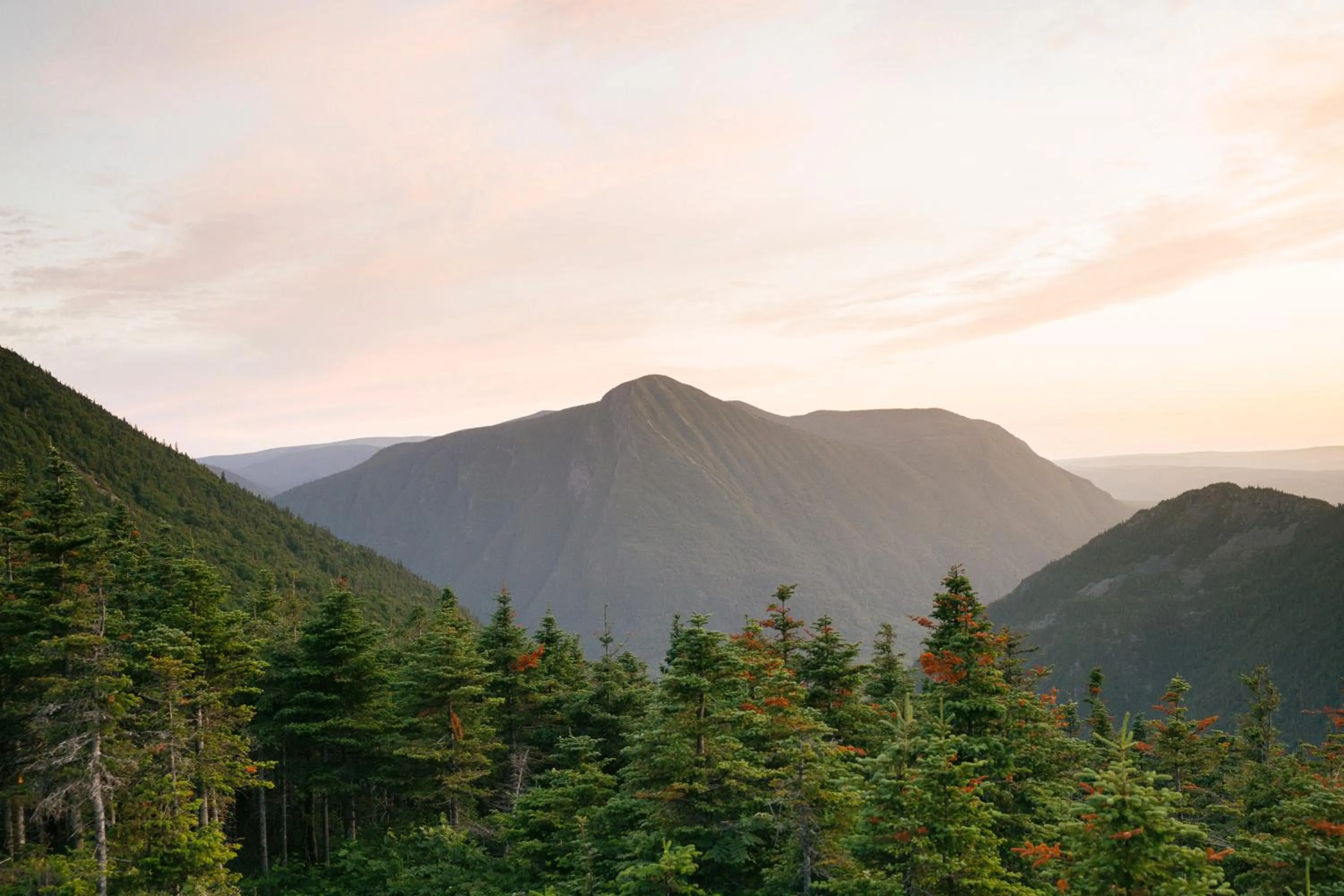 View (from property/room) in Auberge de Montagne des Chic-Chocs Mountain Lodge - Sepaq
