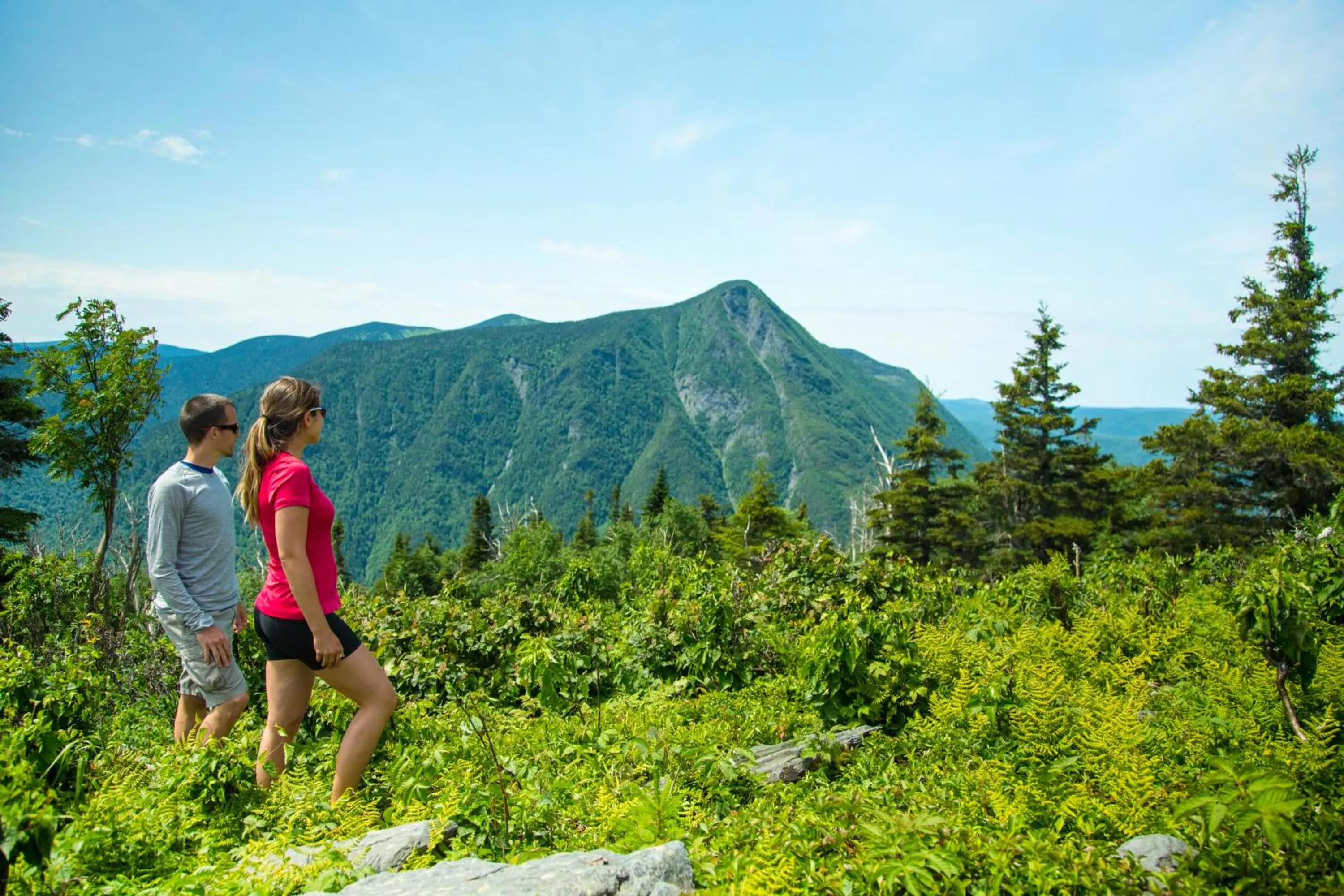 Natural landscape in Auberge de Montagne des Chic-Chocs Mountain Lodge - Sepaq