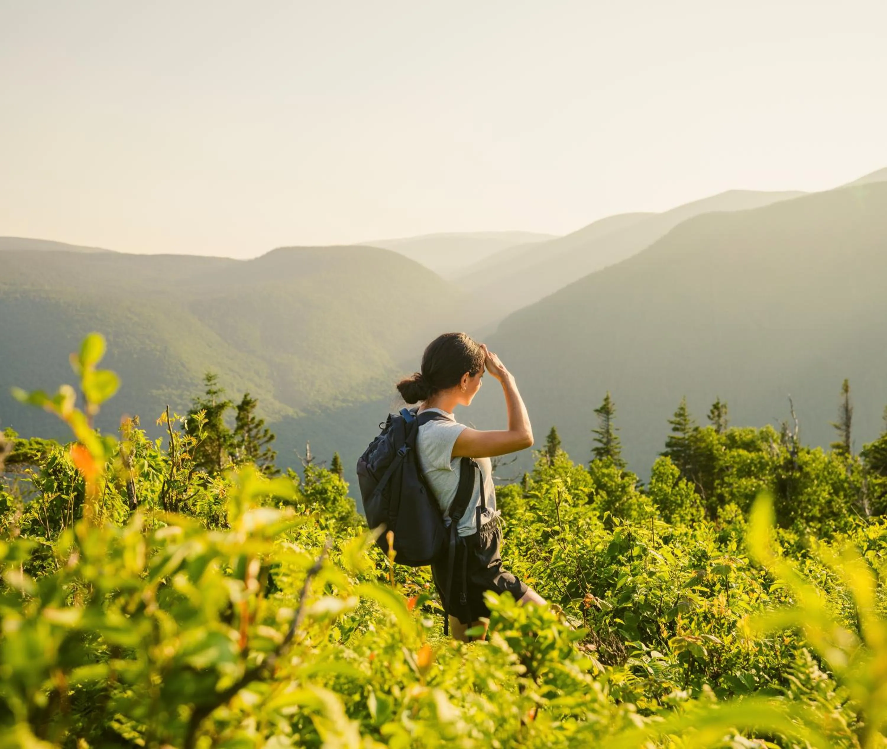 Activities in Auberge de Montagne des Chic-Chocs Mountain Lodge - Sepaq