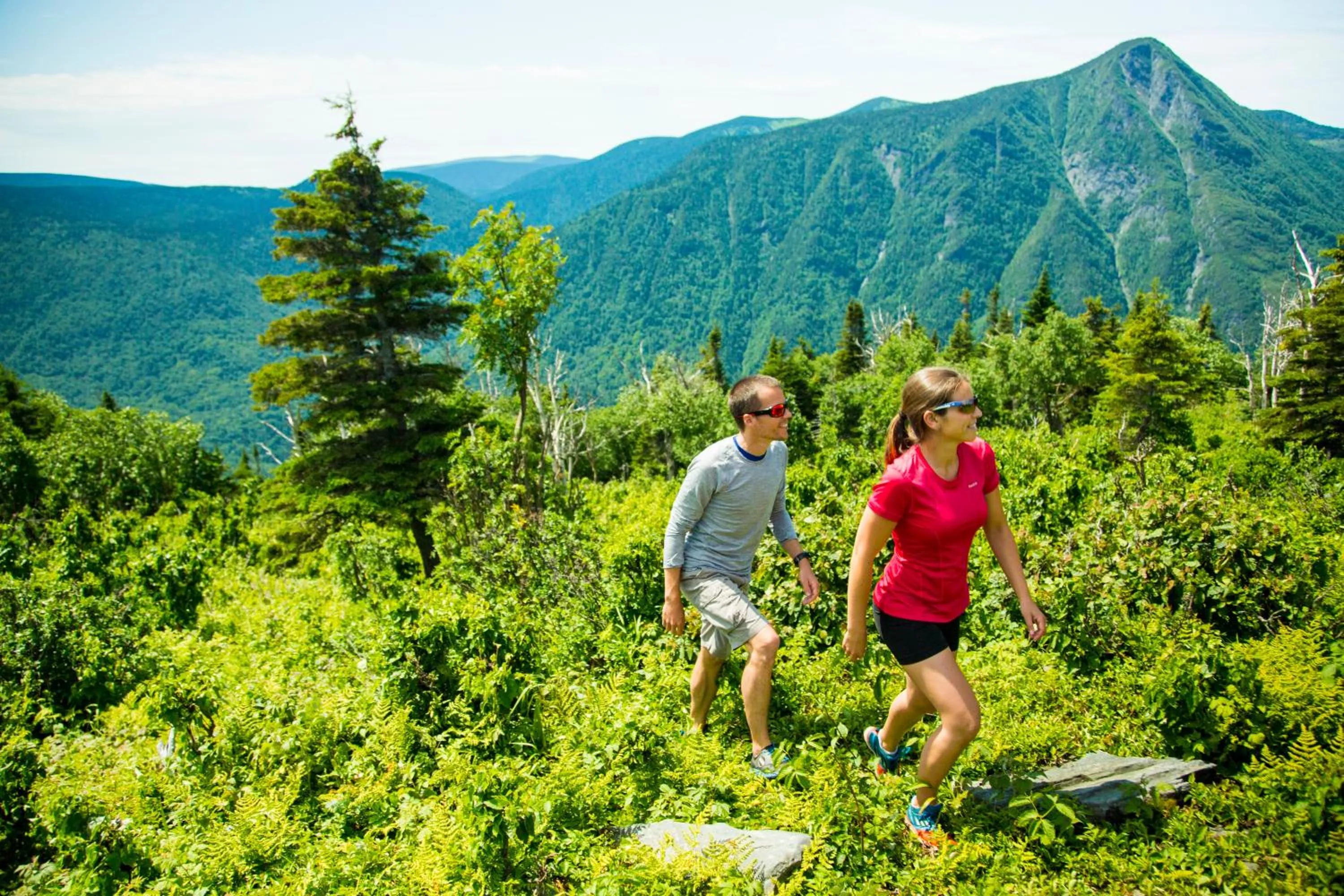 Natural landscape in Auberge de Montagne des Chic-Chocs Mountain Lodge - Sepaq