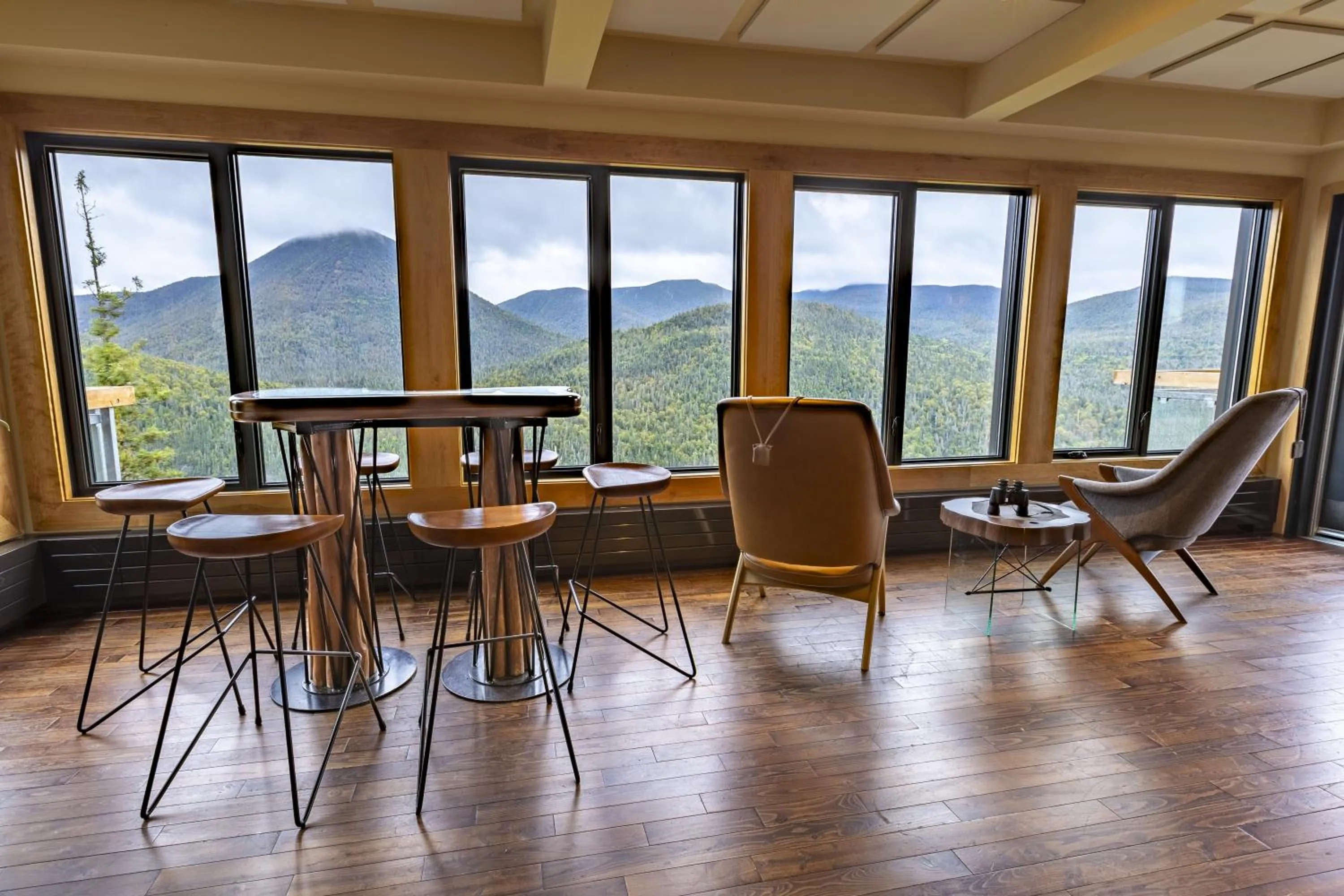 View (from property/room) in Auberge de Montagne des Chic-Chocs Mountain Lodge - Sepaq