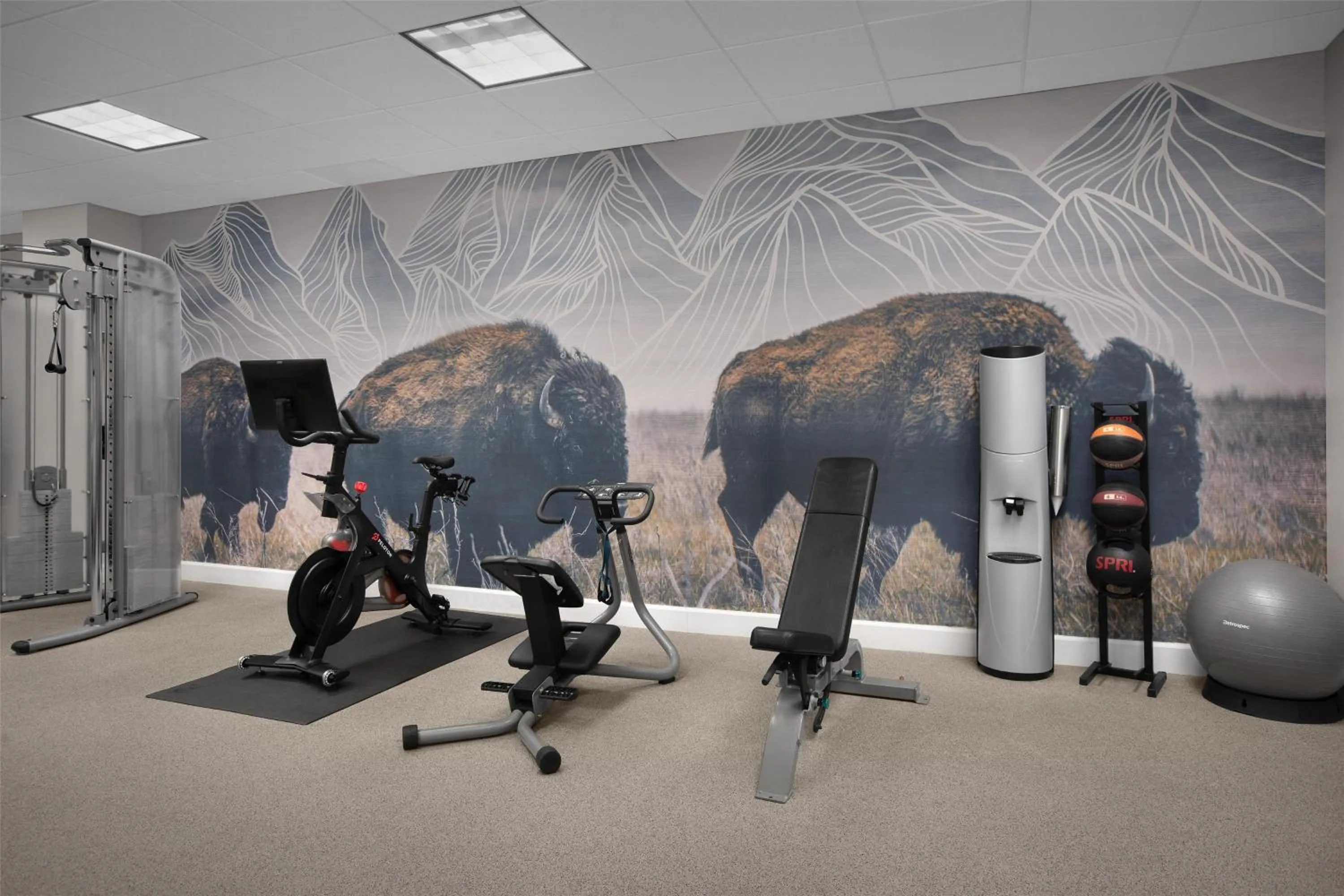 Fitness centre/facilities in Hilton Garden Inn Denver Downtown