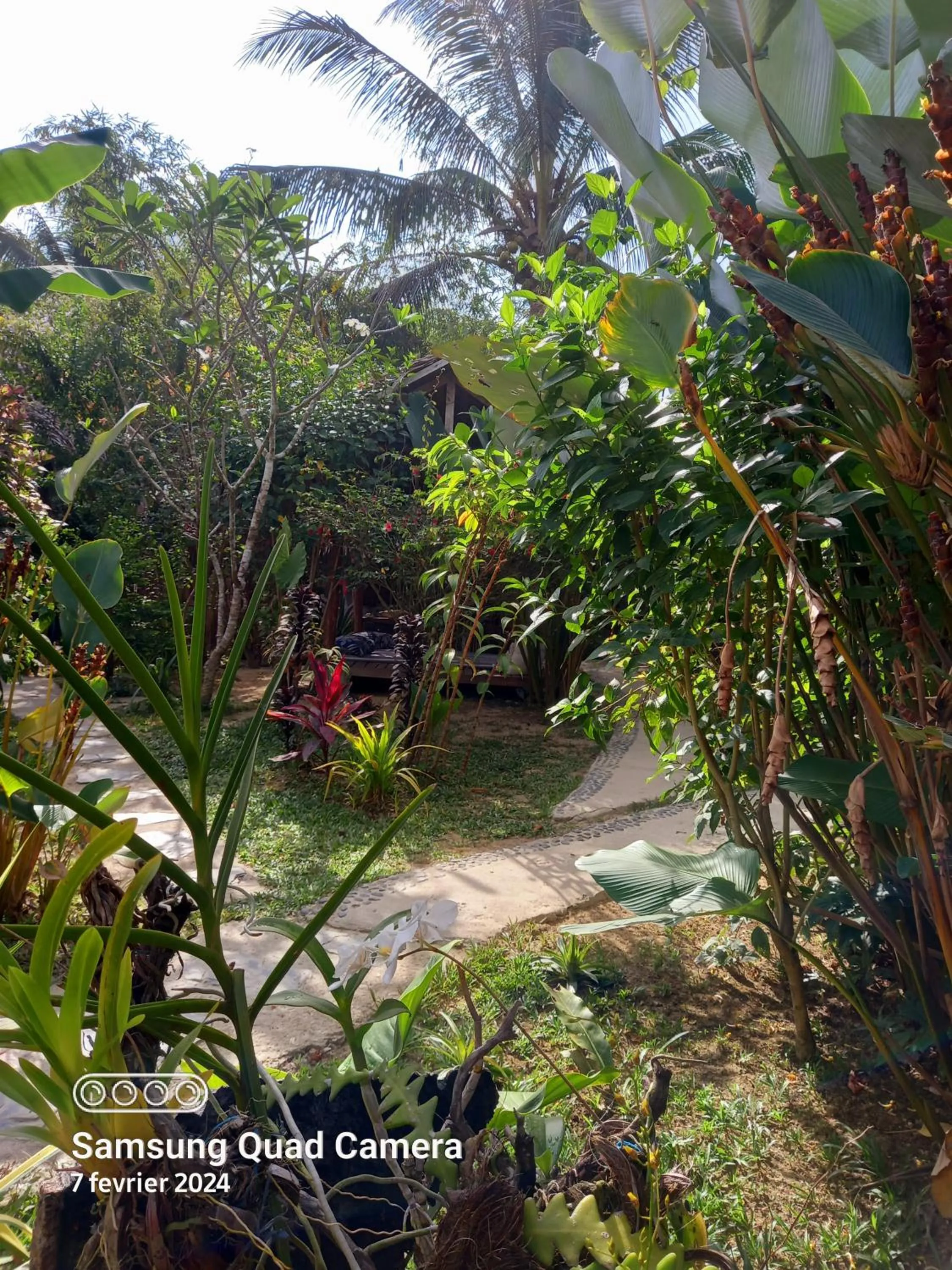 Garden in Valerie Lodge