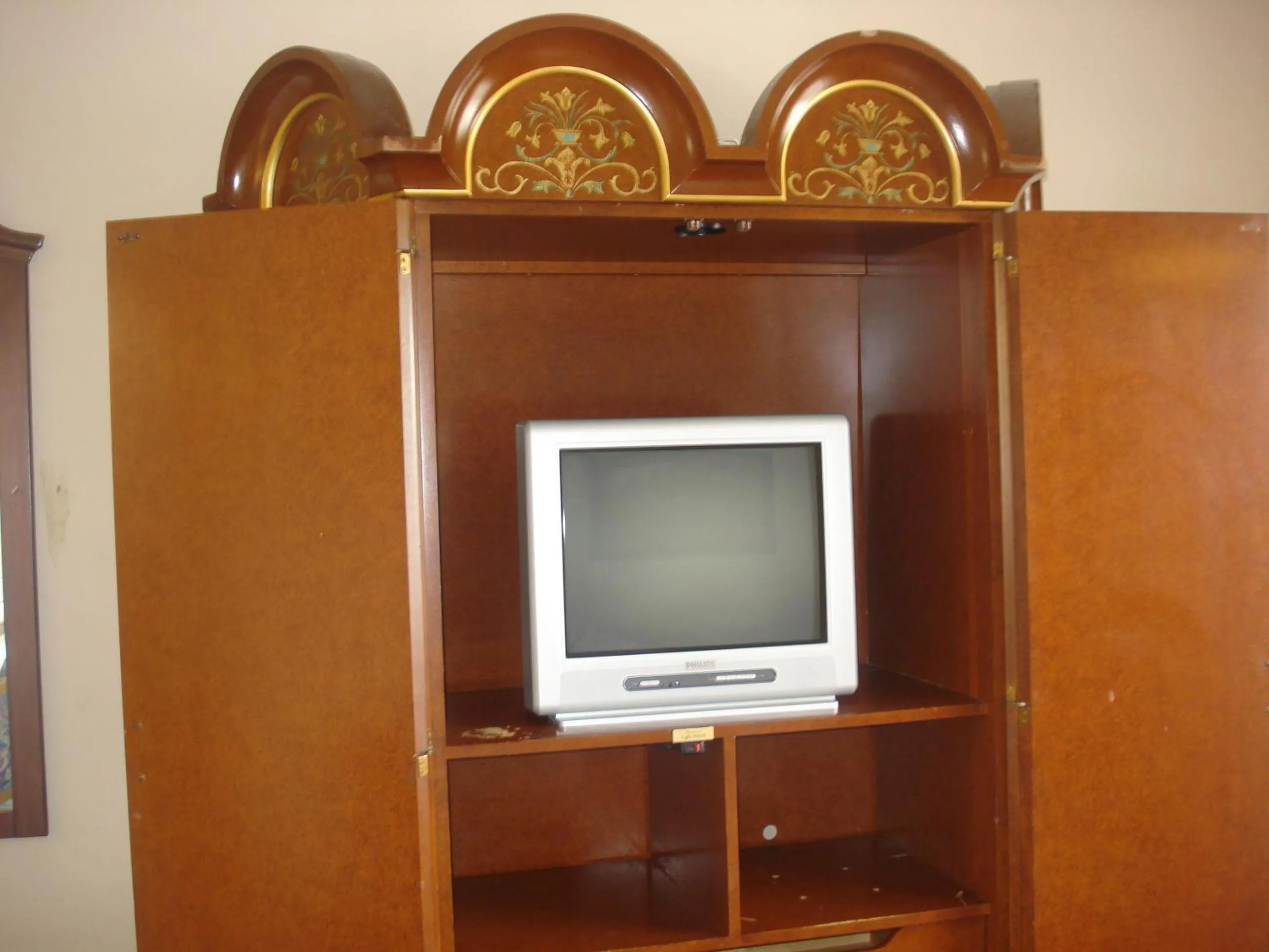 TV and multimedia in Garlic Farm Inn