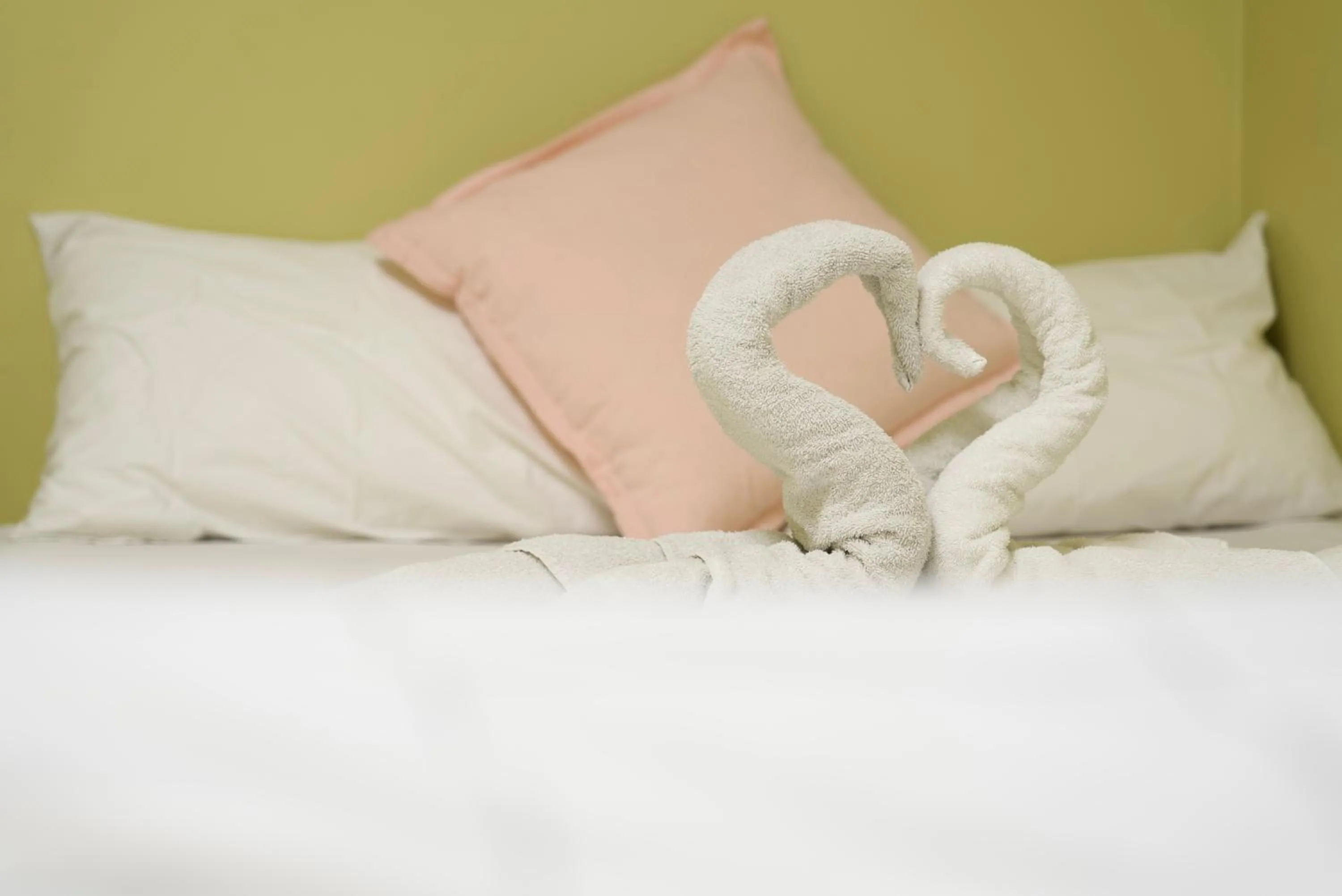 Bedroom, Bed in Silverfern Backpackers