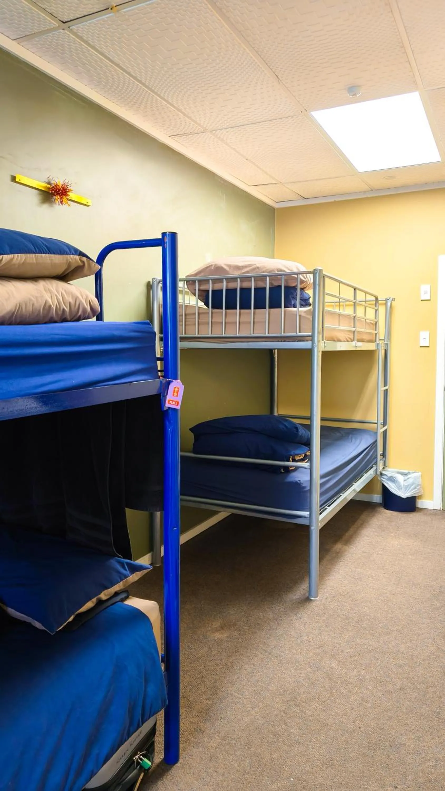 Bedroom, Bed in Silverfern Backpackers