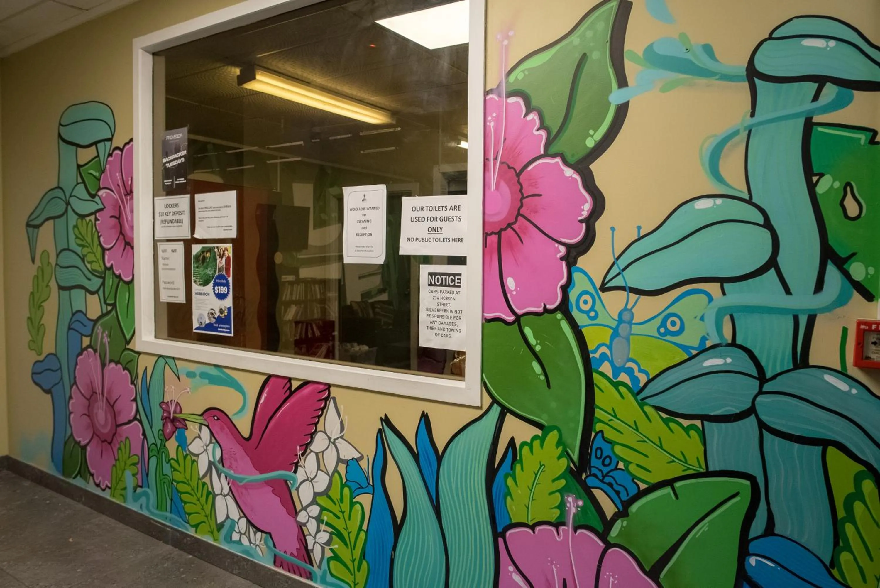 Communal lounge/ TV room in Silverfern Backpackers