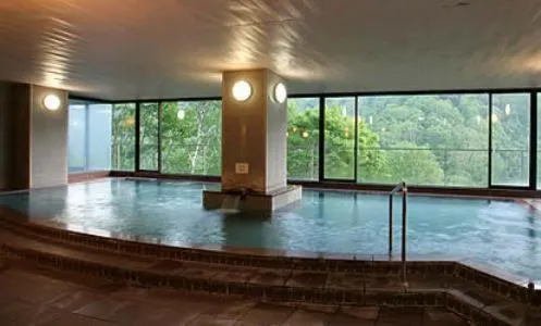 Hot Spring Bath in Shiga Kogen Hotel Shiga Sunvalley