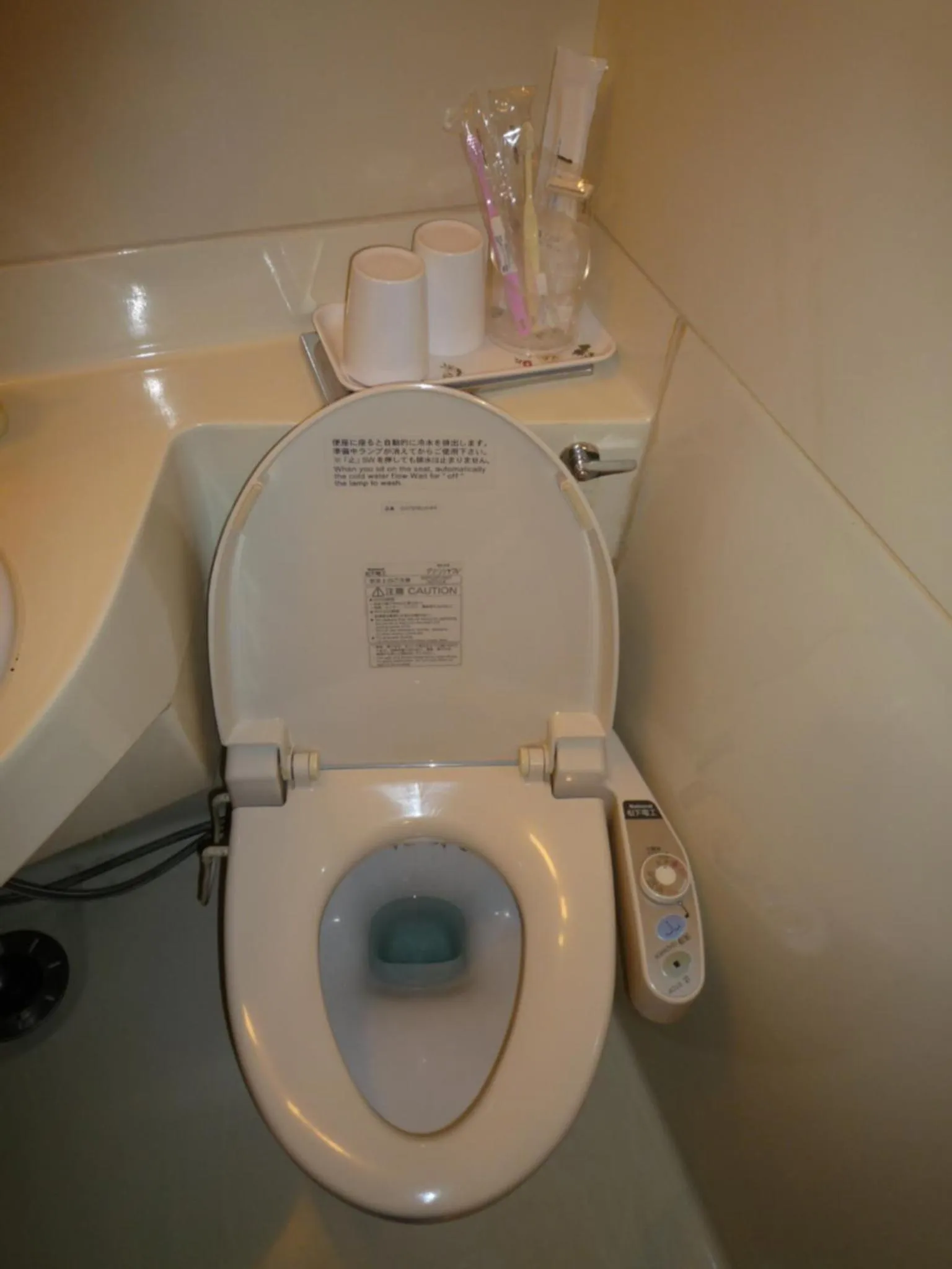 Toilet in Shiga Kogen Hotel Shiga Sunvalley