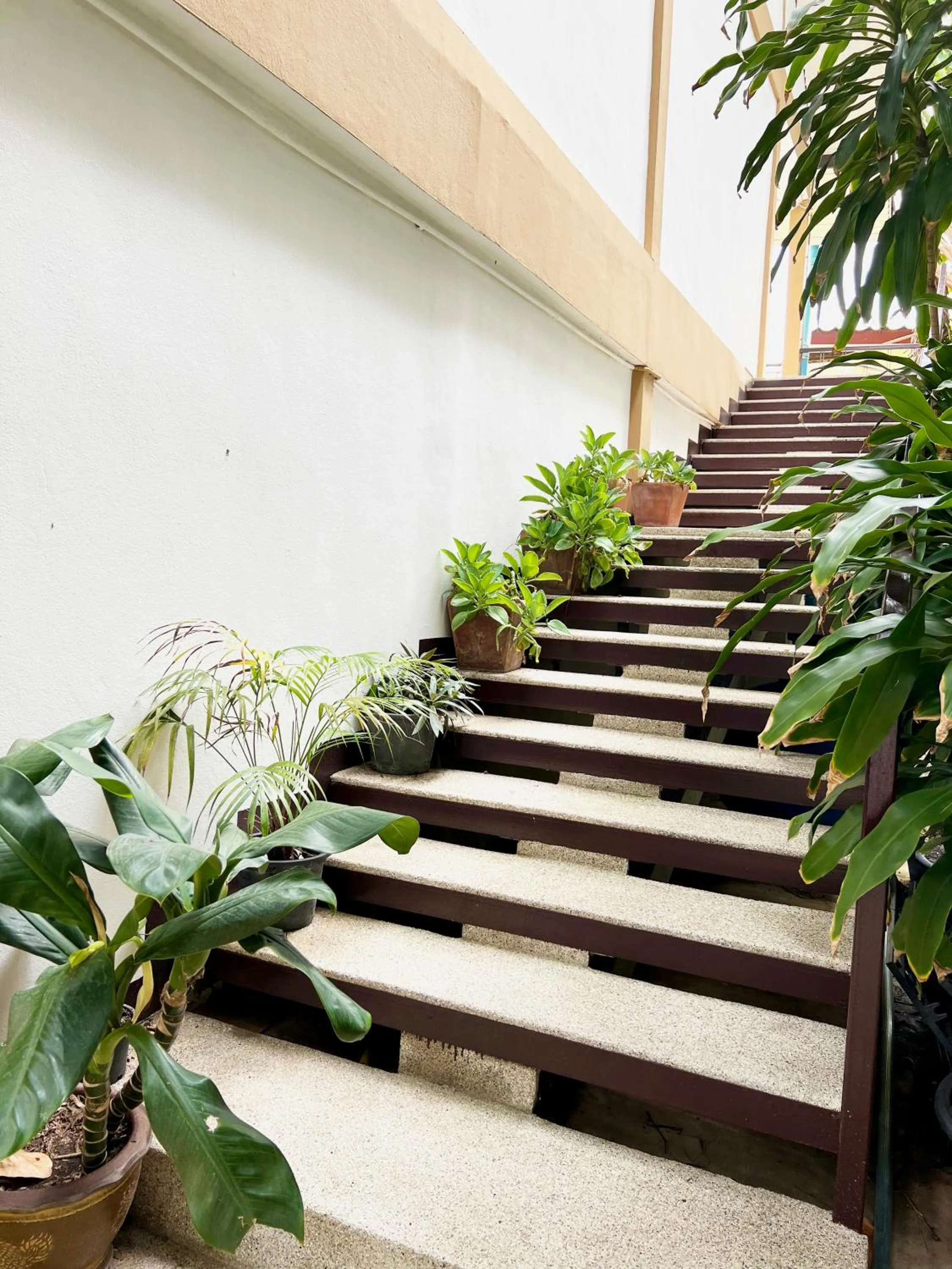 Property building in Hotel La Villa Khon Kaen